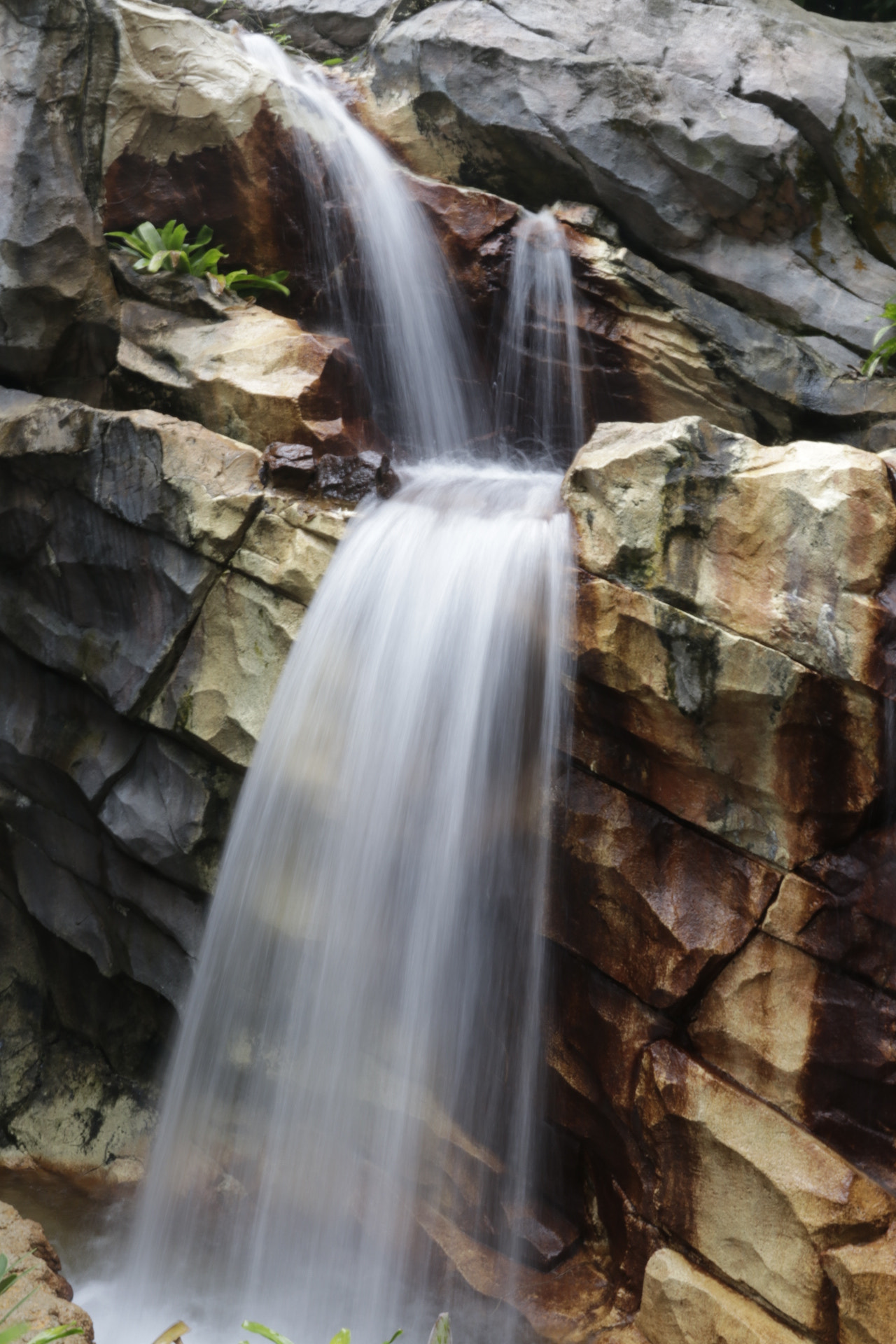 Canon EF 24-70mm F2.8L II USM sample photo