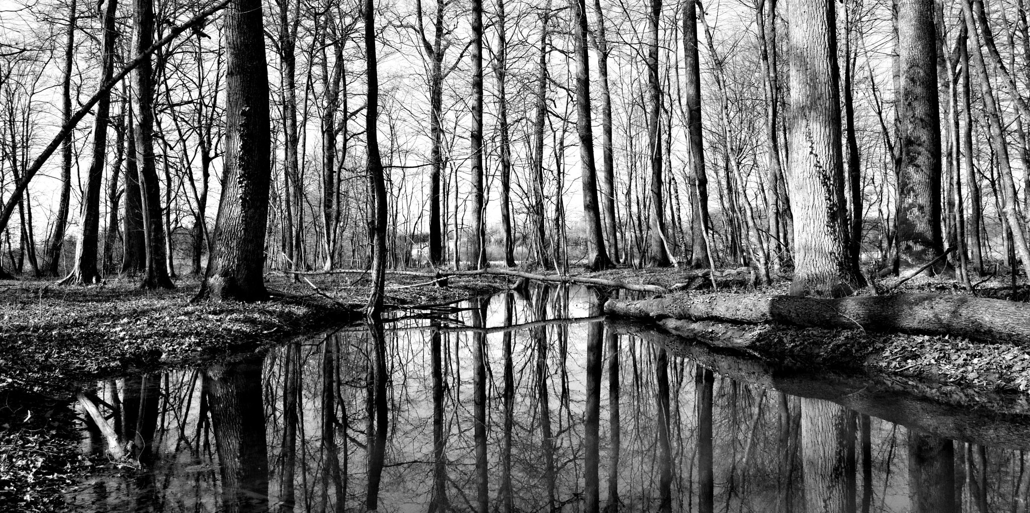 Nokia 808 PureView sample photo. Enjoyment photography