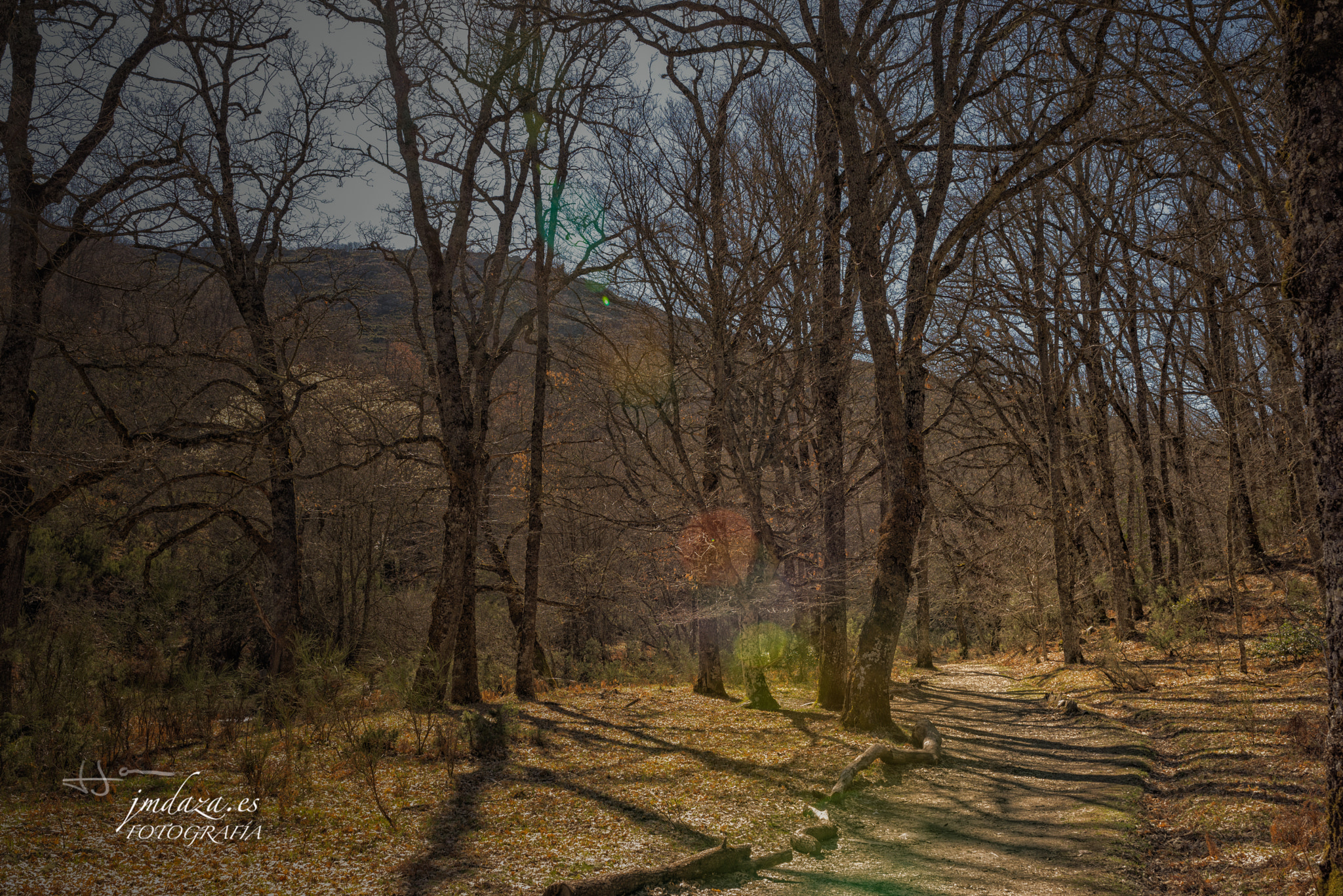 Nikon D610 + Sigma 35mm F1.4 DG HSM Art sample photo. Jmdaza photography