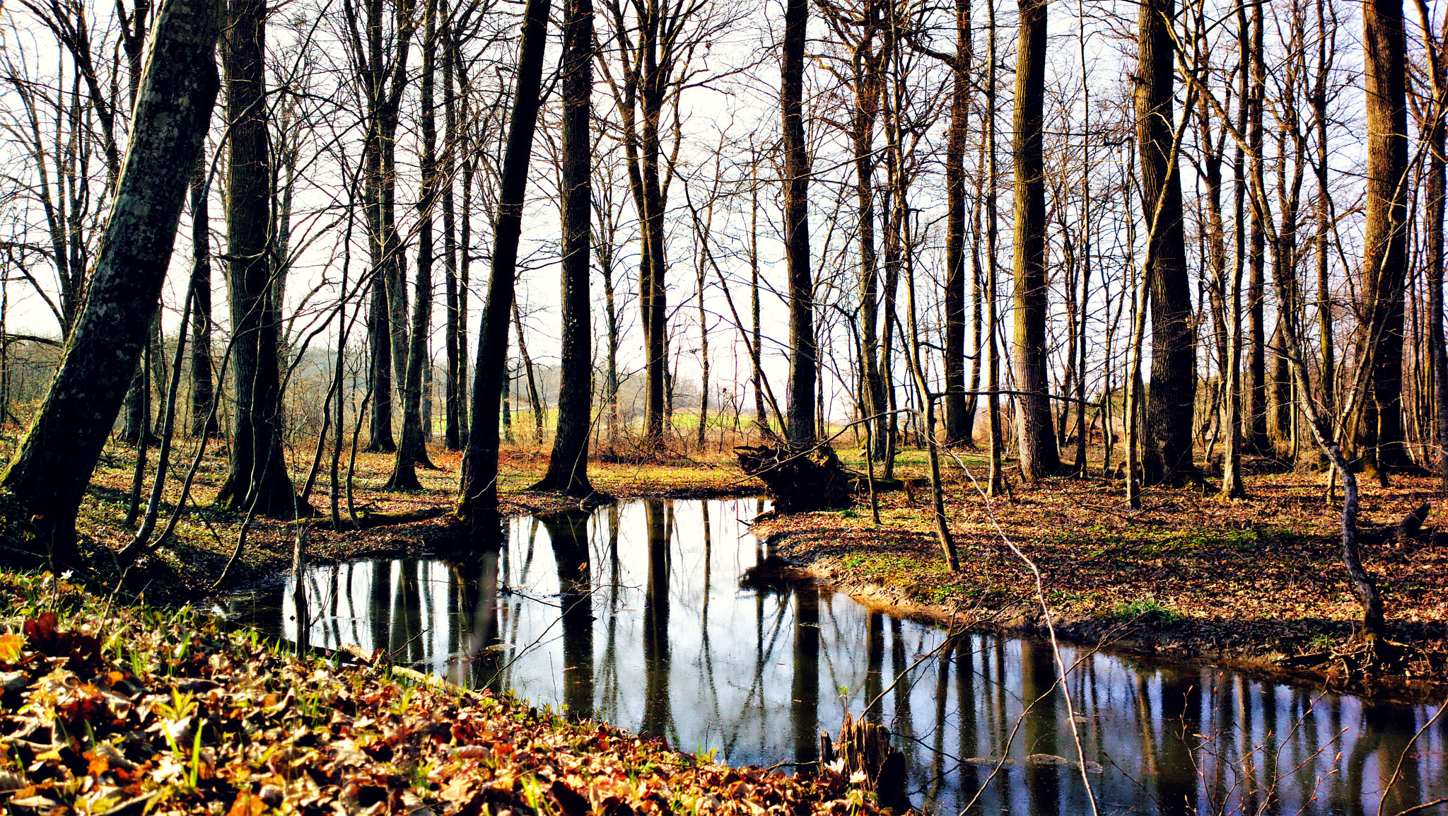 Nokia 808 PureView sample photo. Tranquill photography