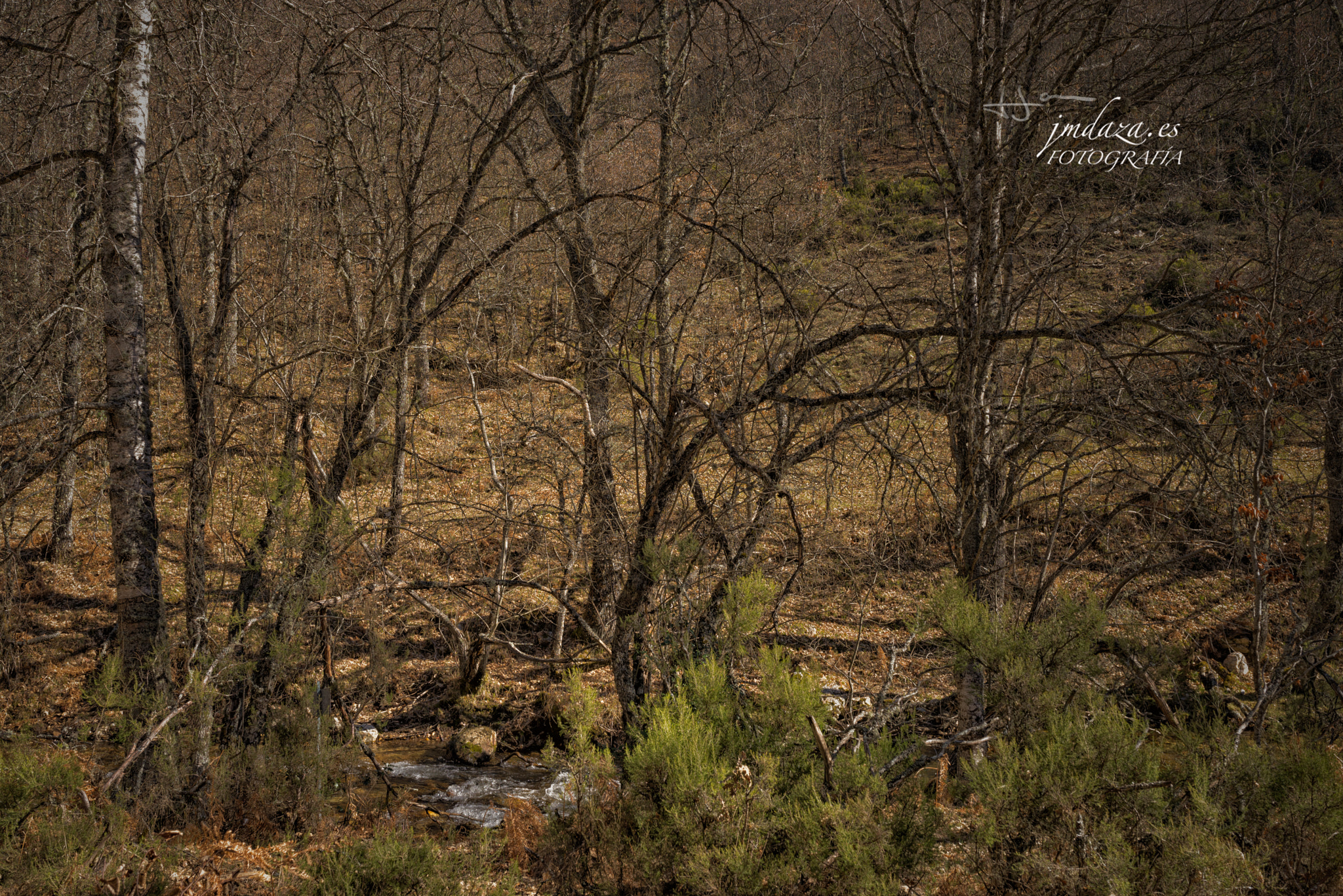 Nikon D610 + Sigma 35mm F1.4 DG HSM Art sample photo. Jmdaza photography