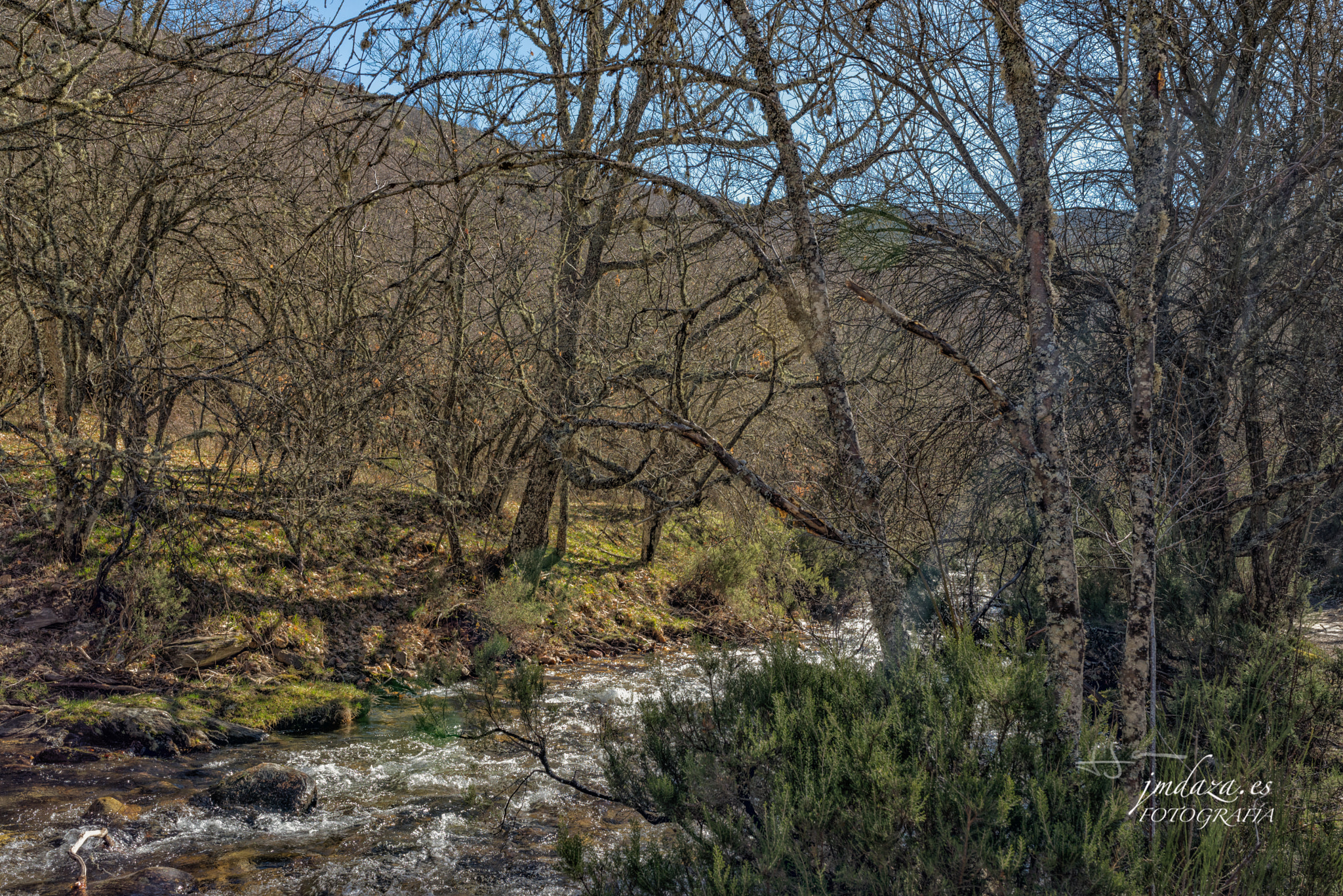 Nikon D610 + Sigma 35mm F1.4 DG HSM Art sample photo. Jmdaza photography