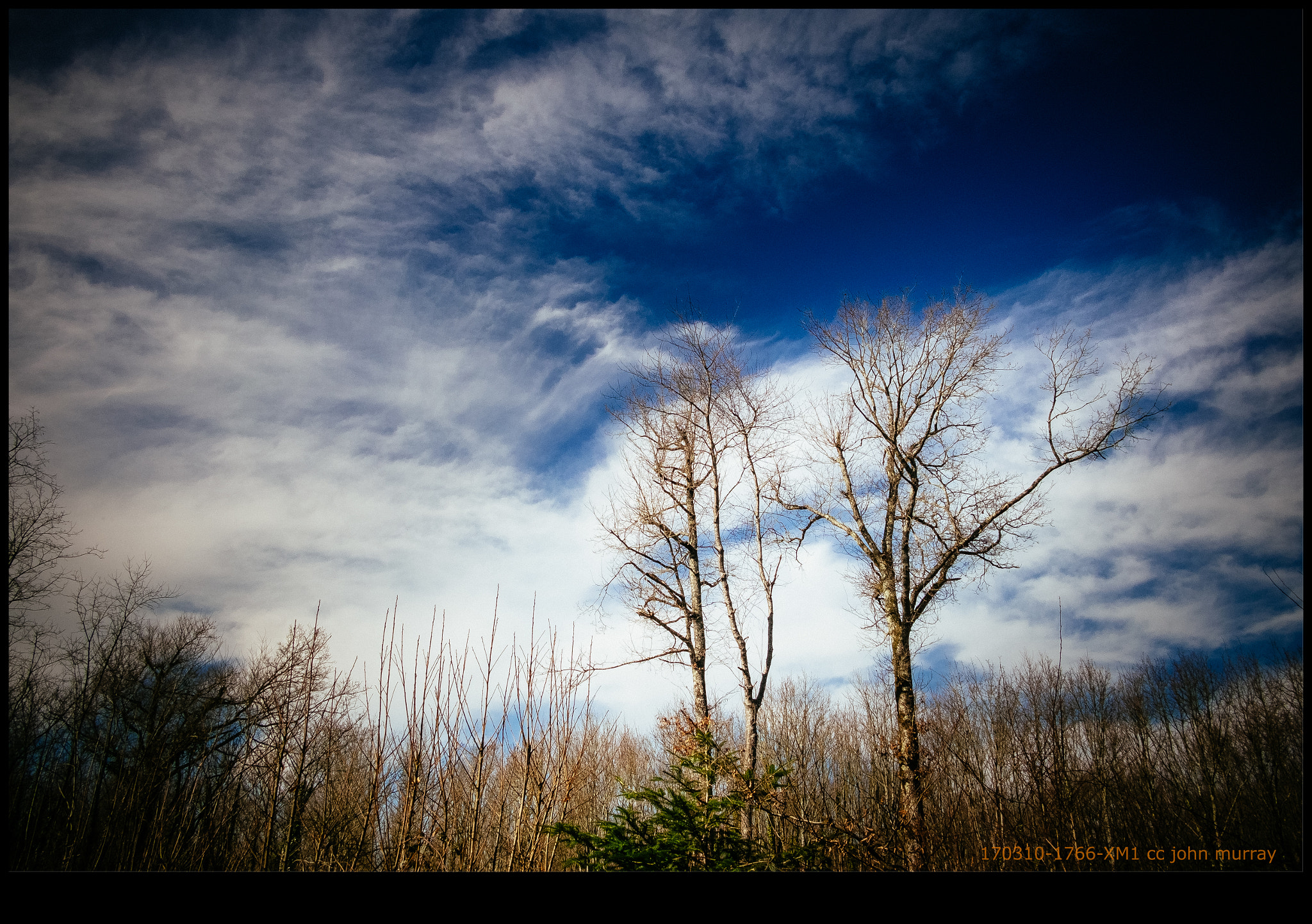 Fujifilm X-M1 + Fujifilm XF 18mm F2 R sample photo. 170310-1766-xm1.raf photography