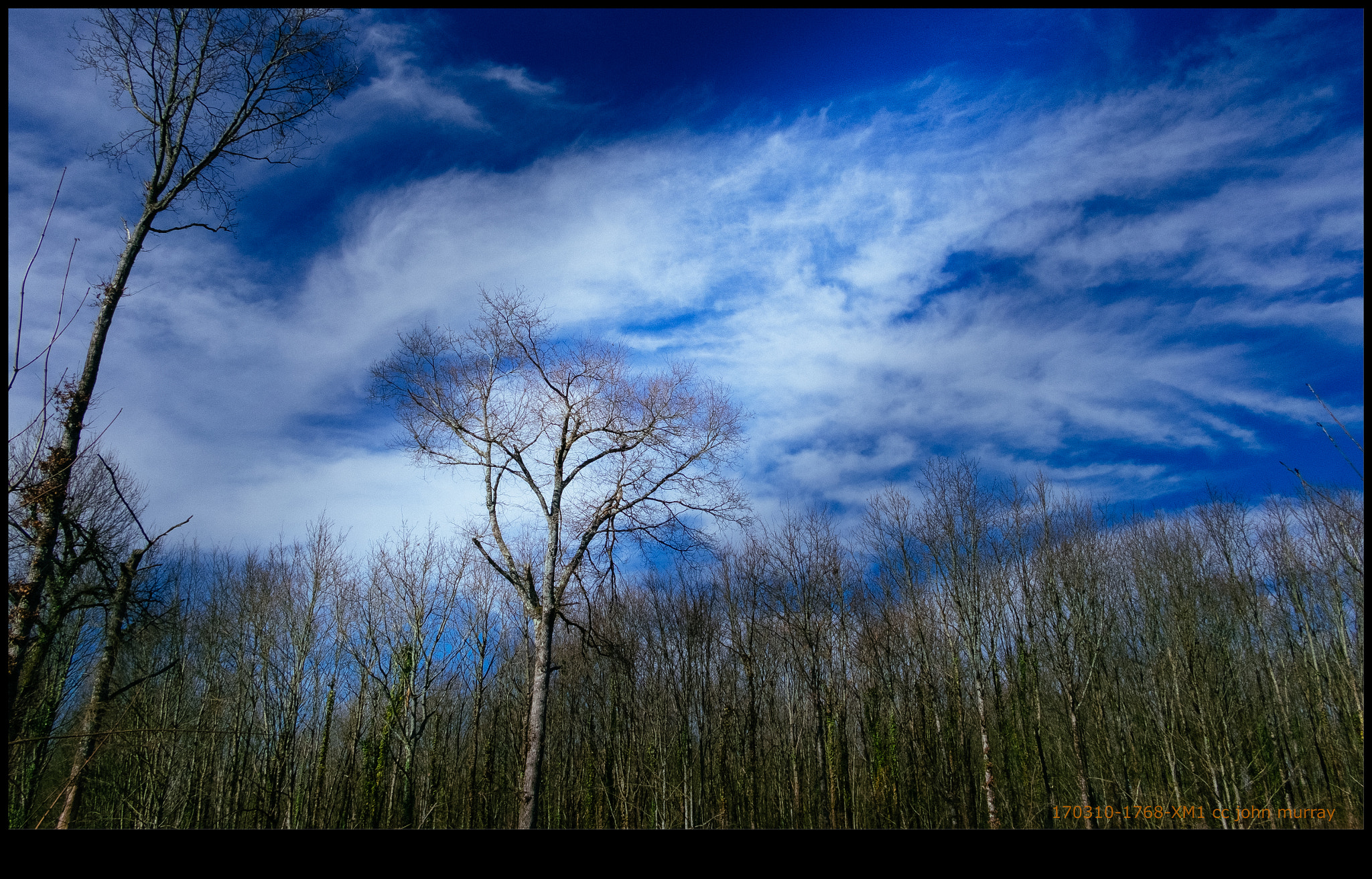 Fujifilm X-M1 + Fujifilm XF 18mm F2 R sample photo. 170310-1768-xm1.raf photography