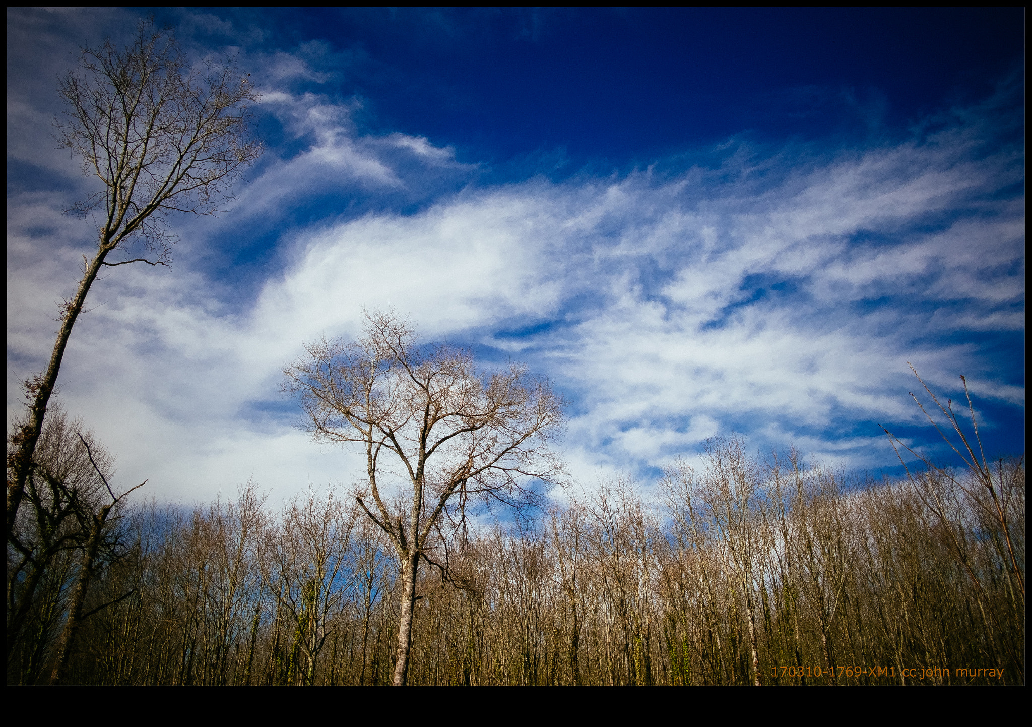 Fujifilm X-M1 + Fujifilm XF 18mm F2 R sample photo. 170310-1769-xm1.raf photography