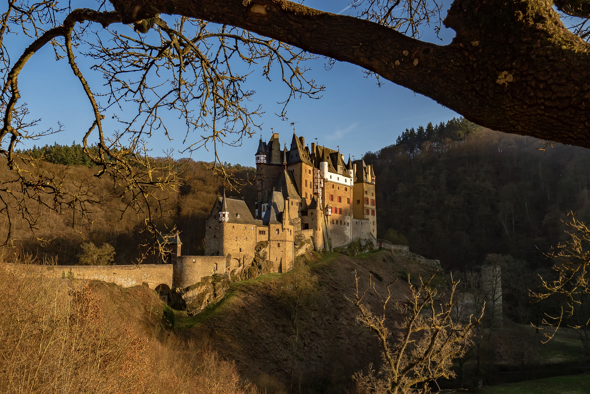 Olympus OM-D E-M5 II sample photo. Eltz castle germany photography