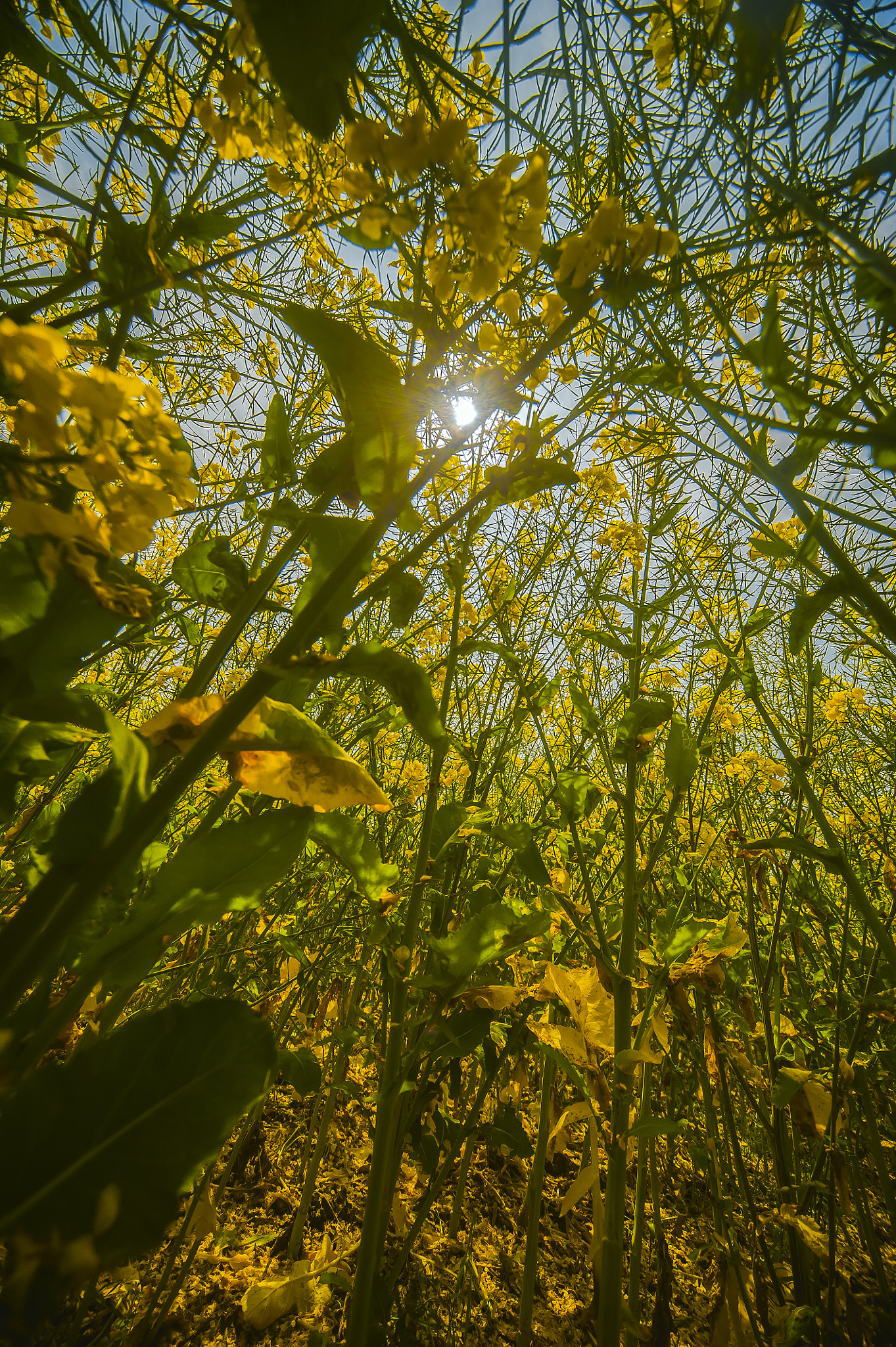 Nikon D700 + Sigma 12-24mm F4.5-5.6 EX DG Aspherical HSM sample photo