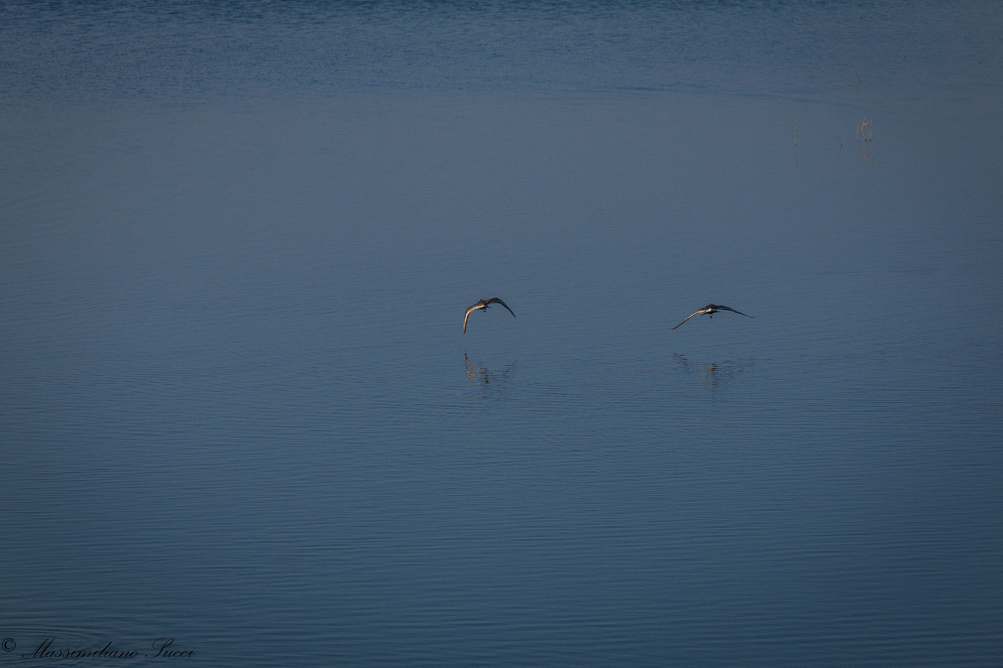 Canon EOS 70D sample photo. Flight of couples photography