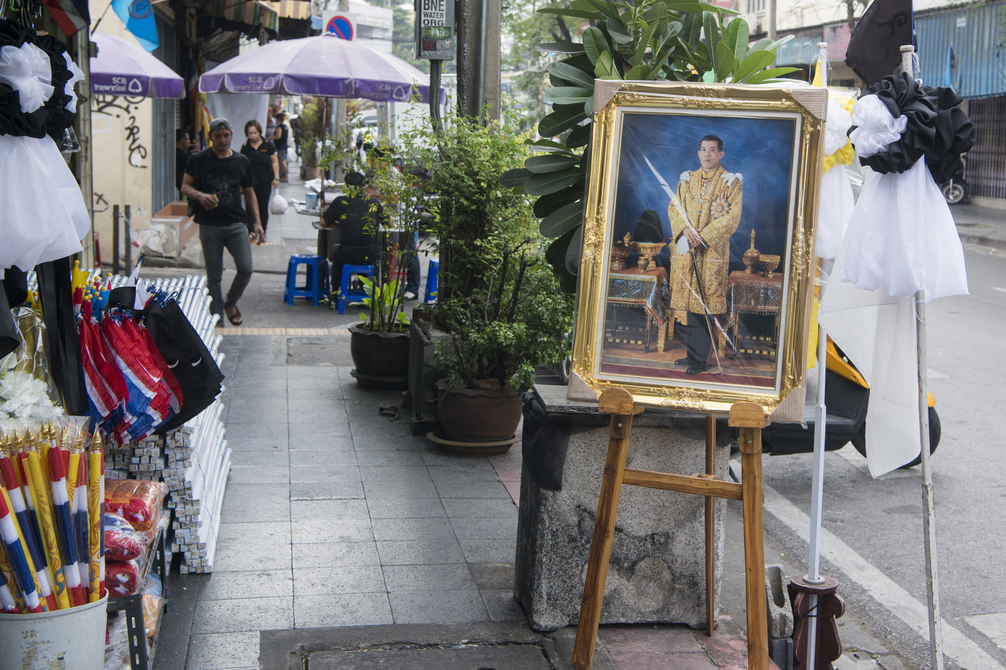 Nikon AF-S Nikkor 24-70mm F2.8E ED VR sample photo. Thailand bangkok king vajiralongkorn photography
