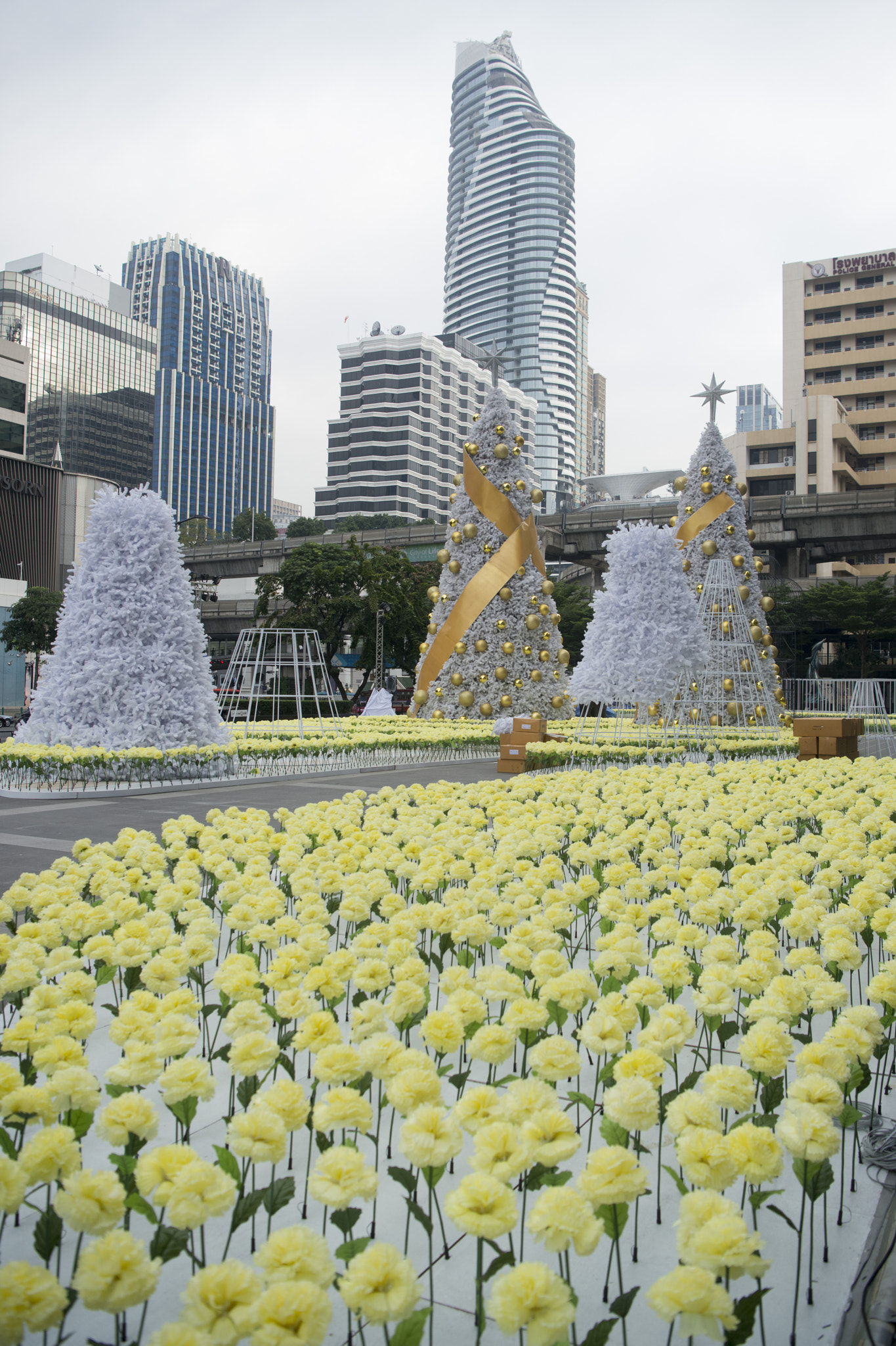 Nikon AF-S Nikkor 24-70mm F2.8E ED VR sample photo. Thailand bangkok pratunam christmas photography
