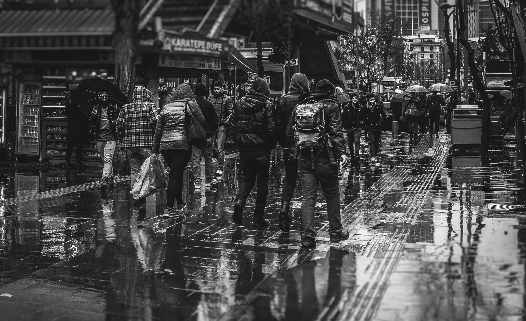Fujifilm X-T1 + Fujifilm XF 16-55mm F2.8 R LM WR sample photo. Black and white ii photography