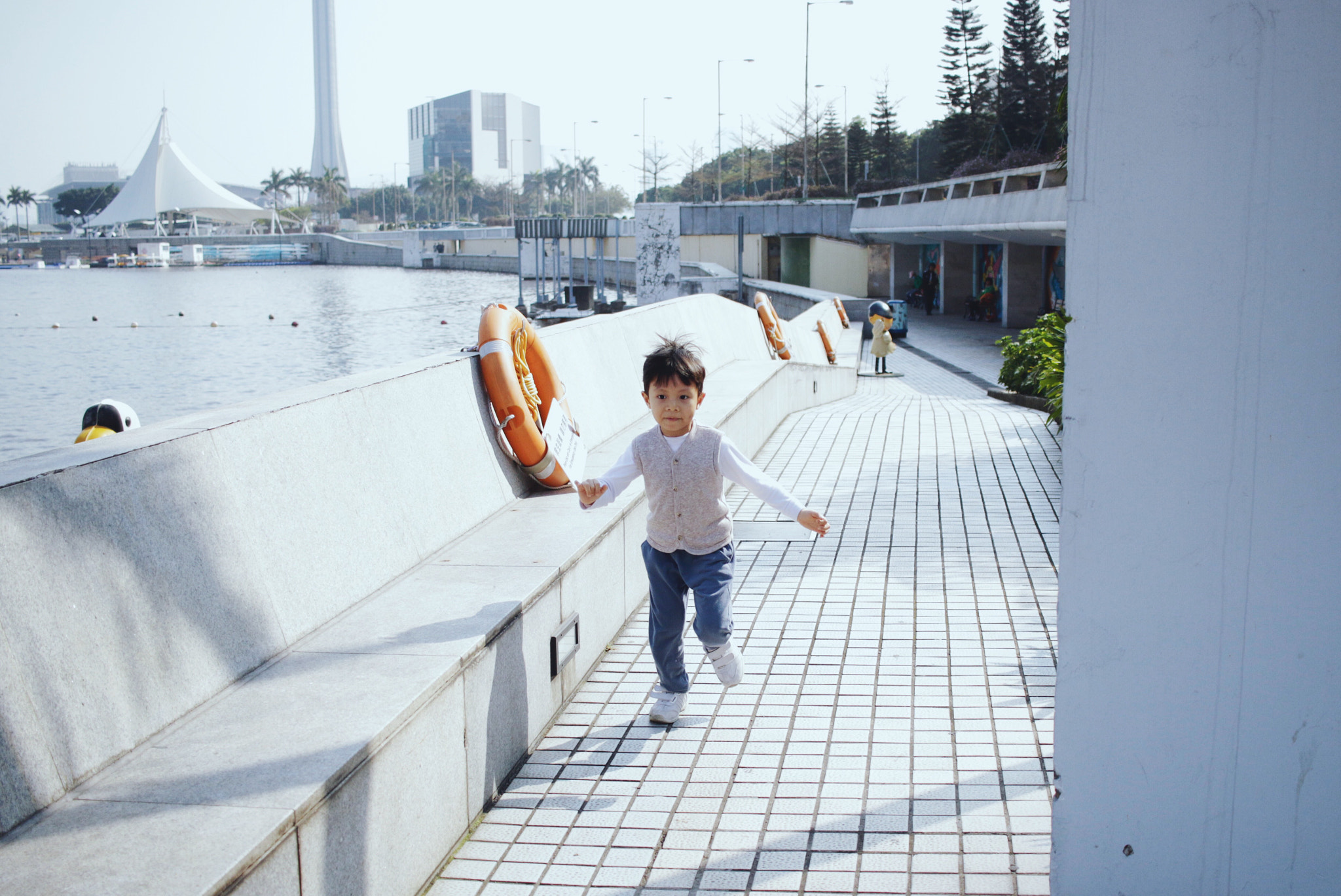 Canon EF-S 24mm F2.8 STM sample photo