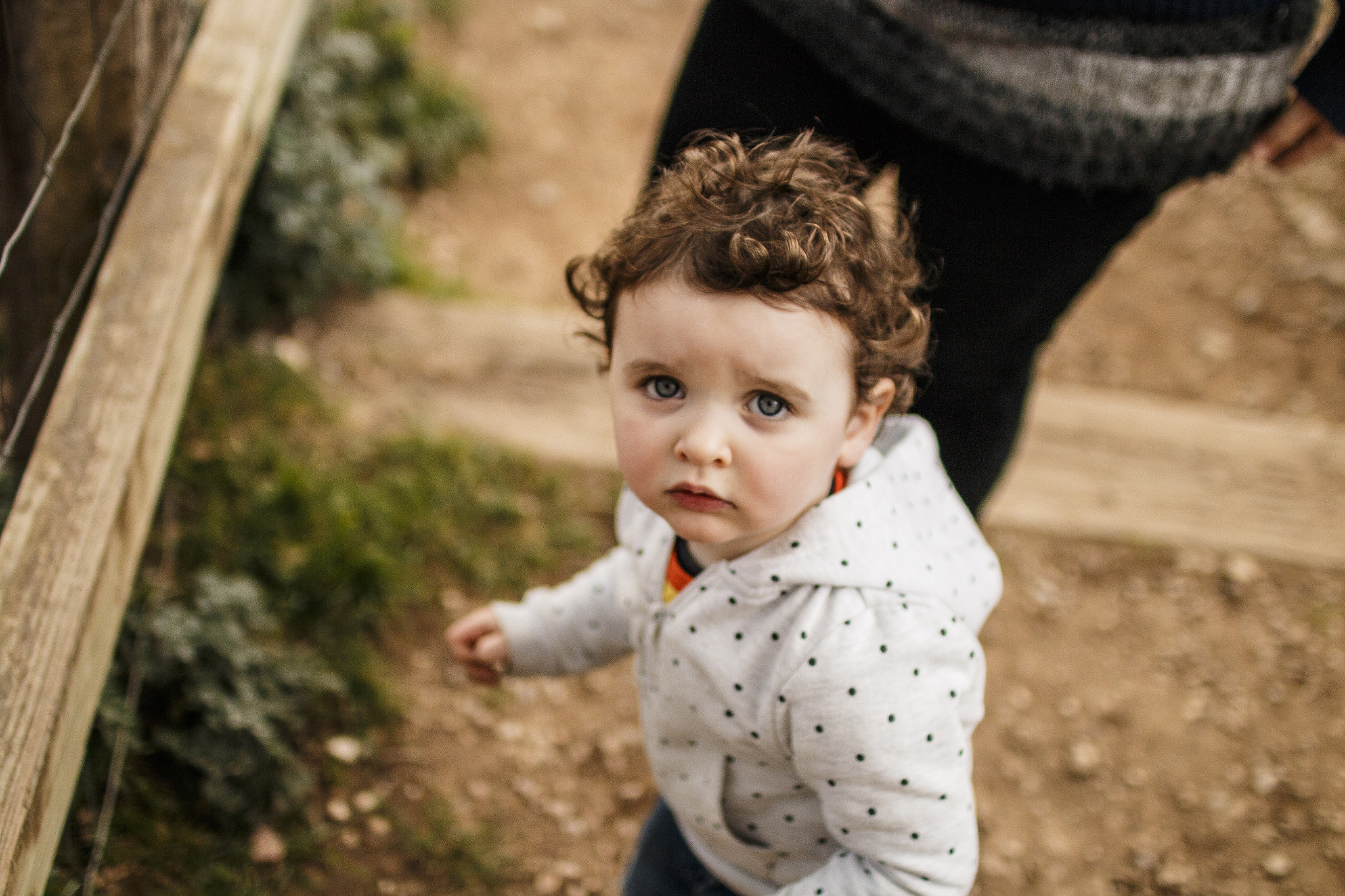 Sigma 30mm F1.4 EX DC HSM sample photo. Img photography