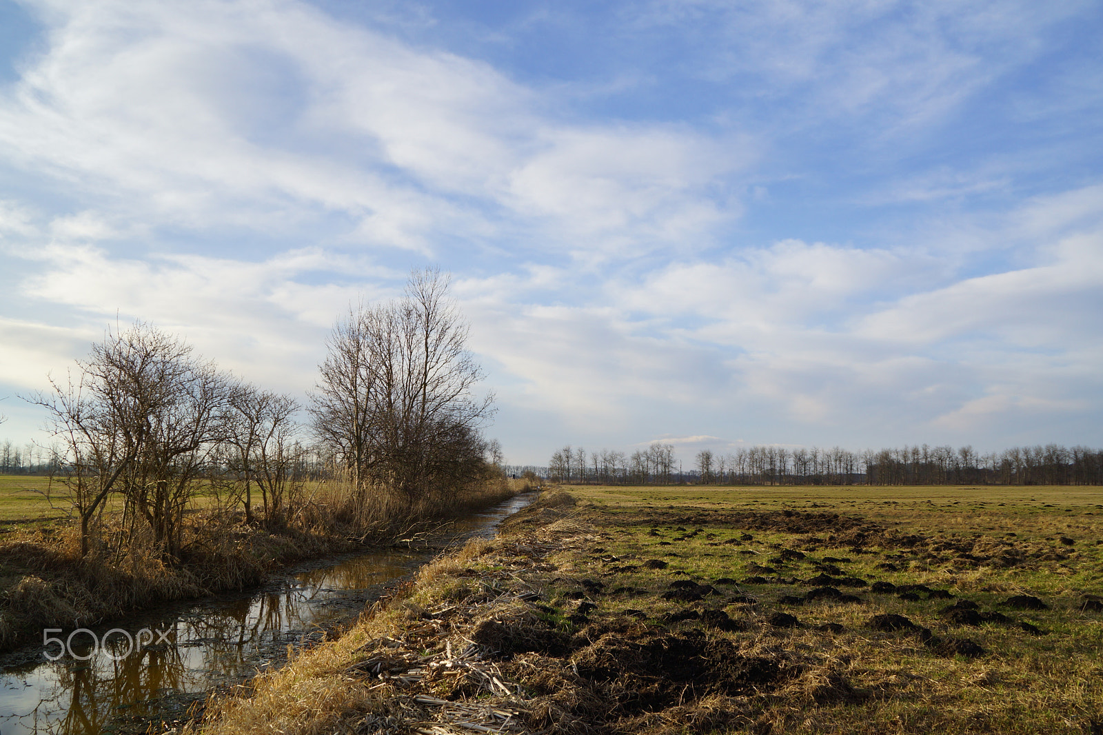 Sony DT 18-200mm F3.5-6.3 sample photo. Germany, linum vii - rhinluch ii photography