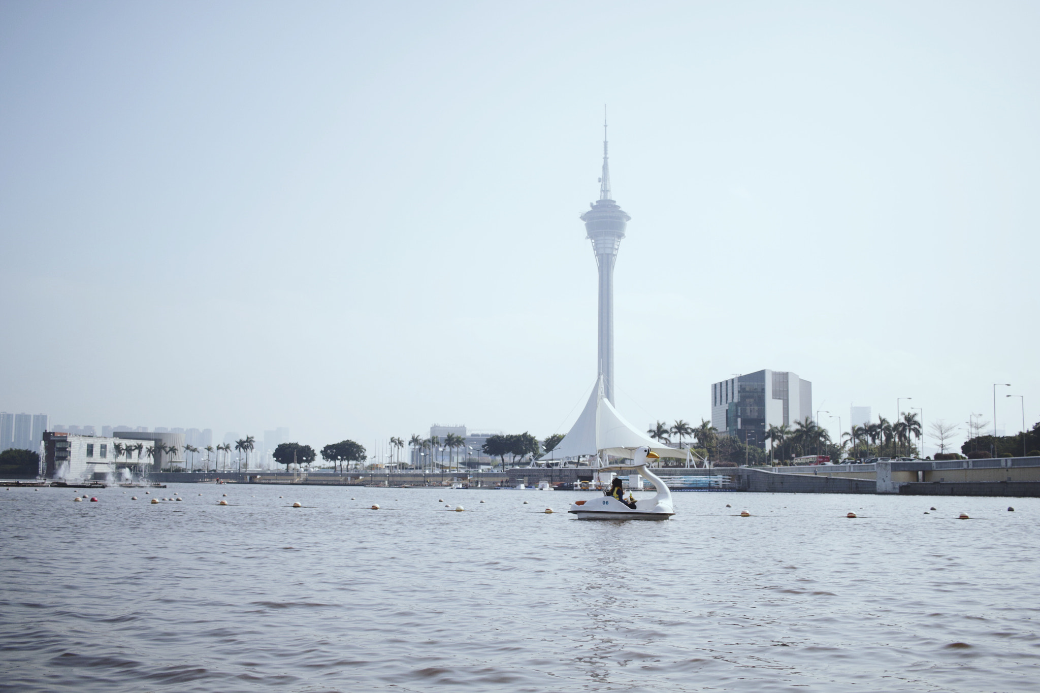 Canon EF-S 24mm F2.8 STM sample photo