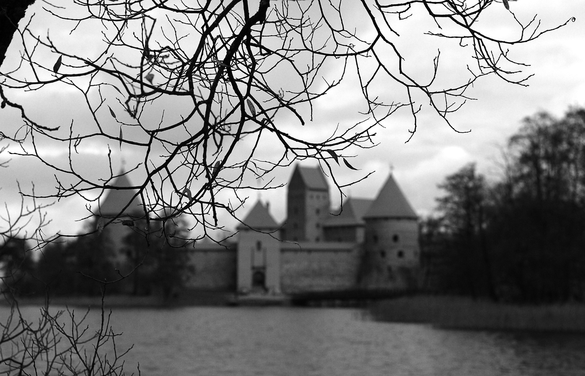 Nikon D80 sample photo. The castle photography
