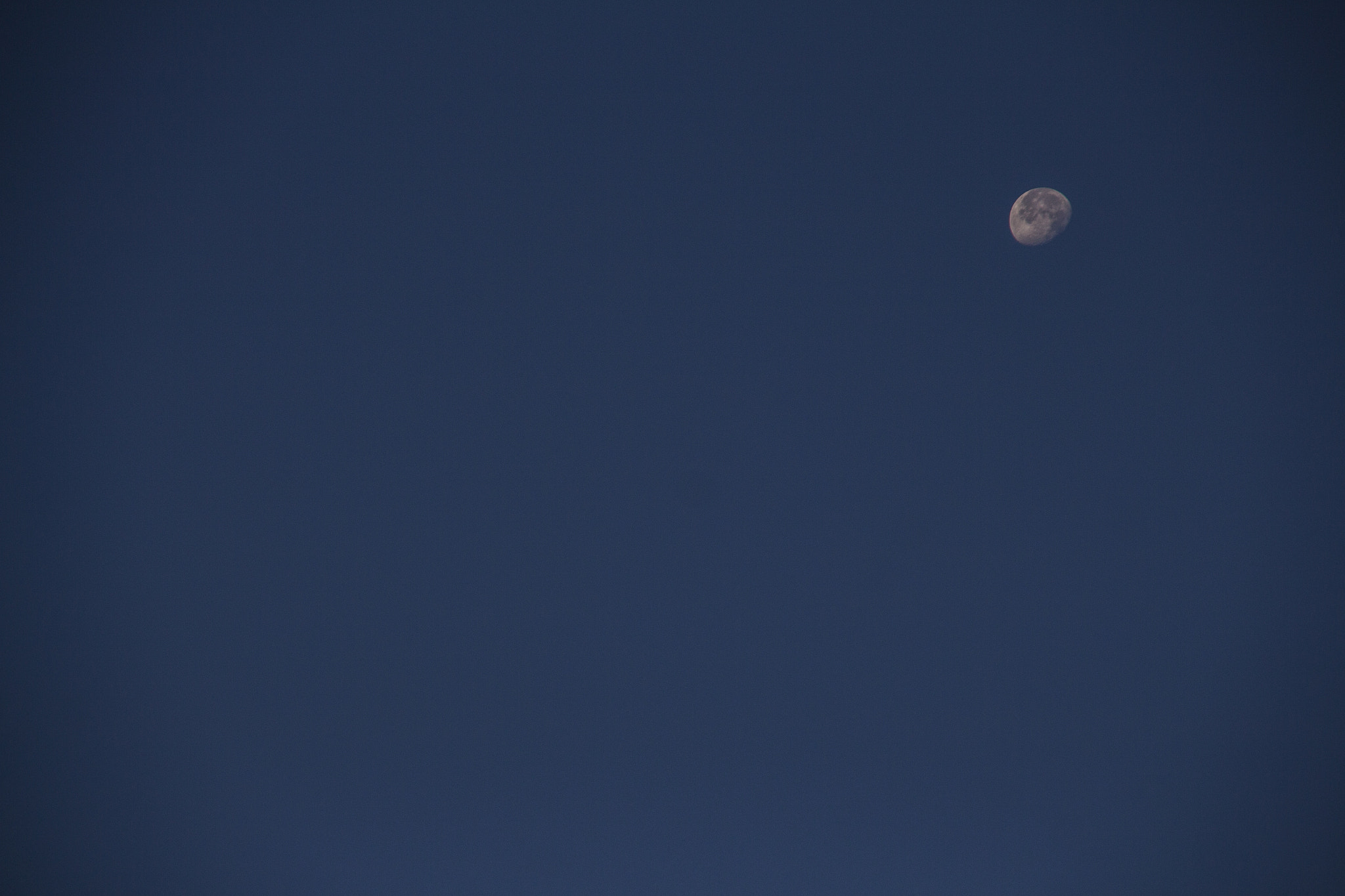 Sigma 18-125mm f/3.5-5.6 DC IF ASP sample photo. Moon in the morning photography