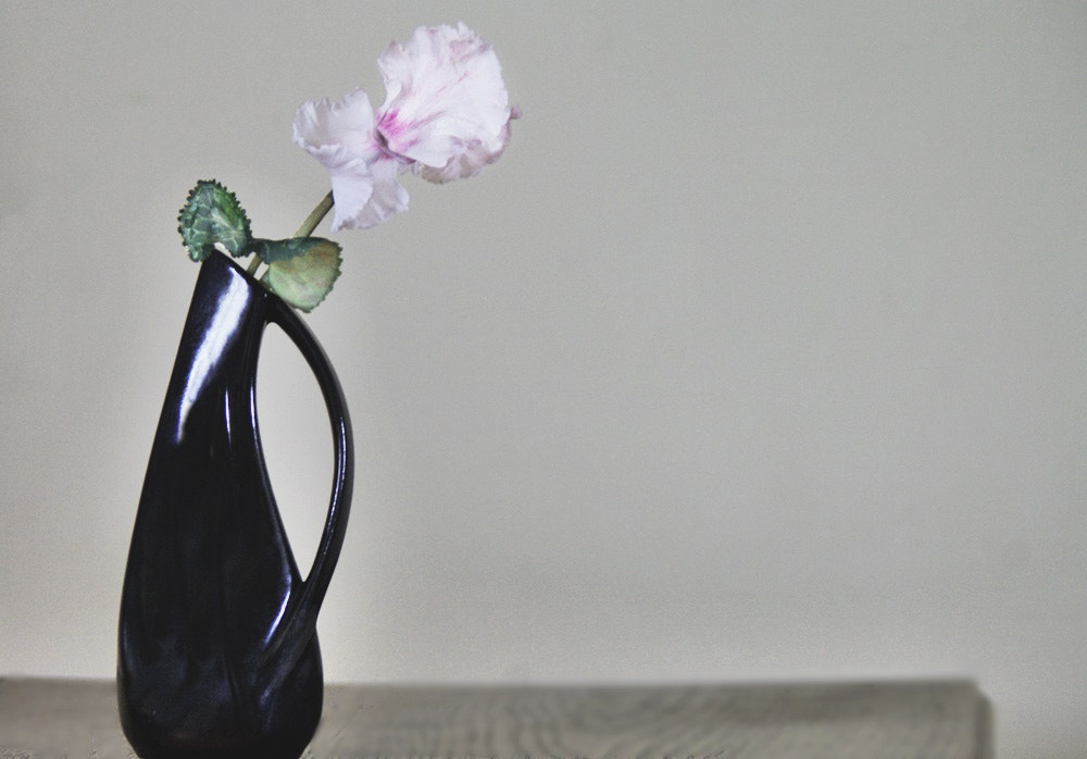 Sony Alpha DSLR-A290 sample photo