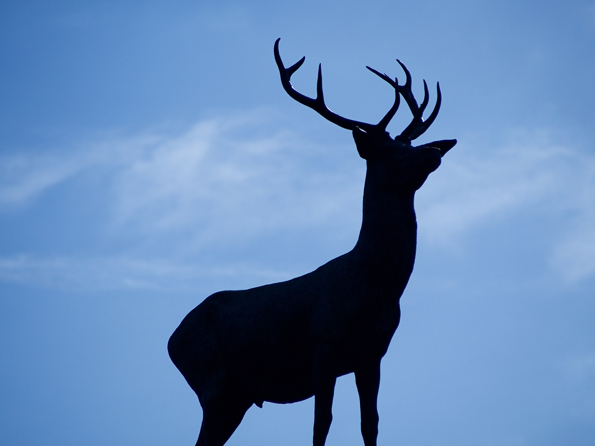 Olympus OM-D E-M10 II sample photo. Stag photography
