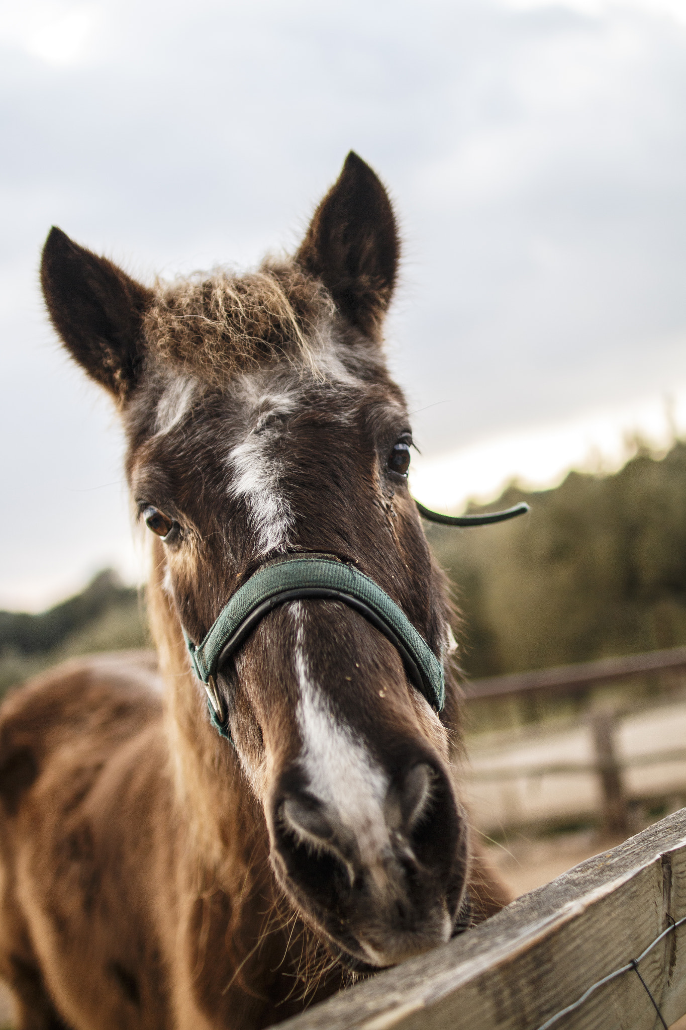 Canon EOS 70D + Sigma 30mm F1.4 EX DC HSM sample photo. Img photography