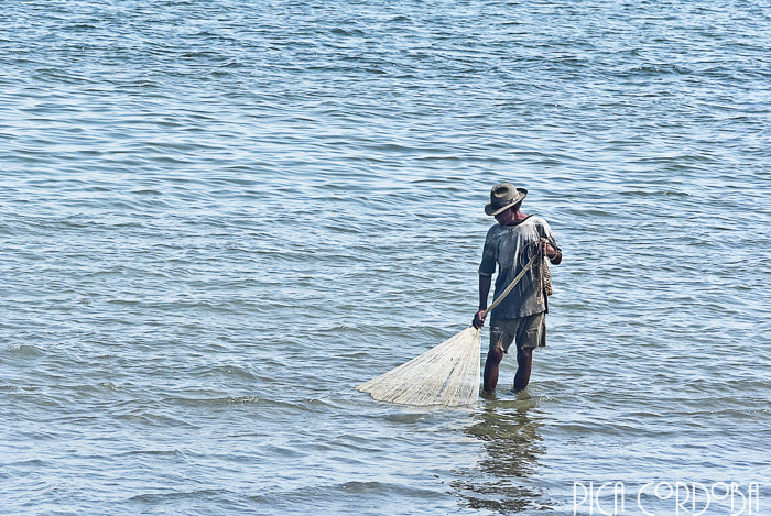 Nikon D3000 sample photo. Fishing solo photography
