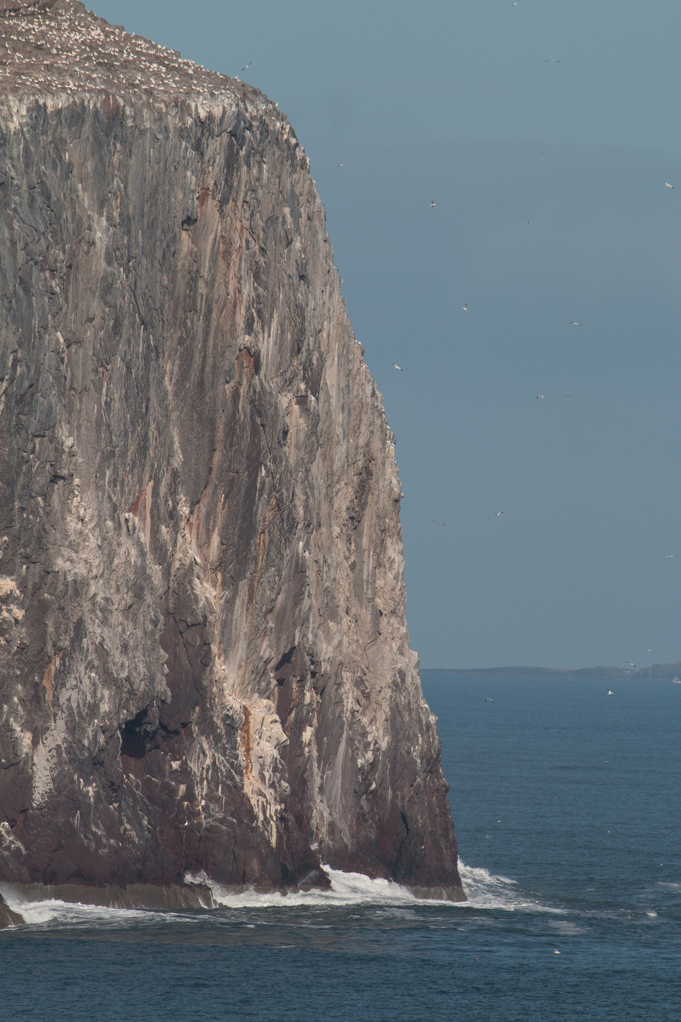 Tamron SP 150-600mm F5-6.3 Di VC USD sample photo. Bass rock photography