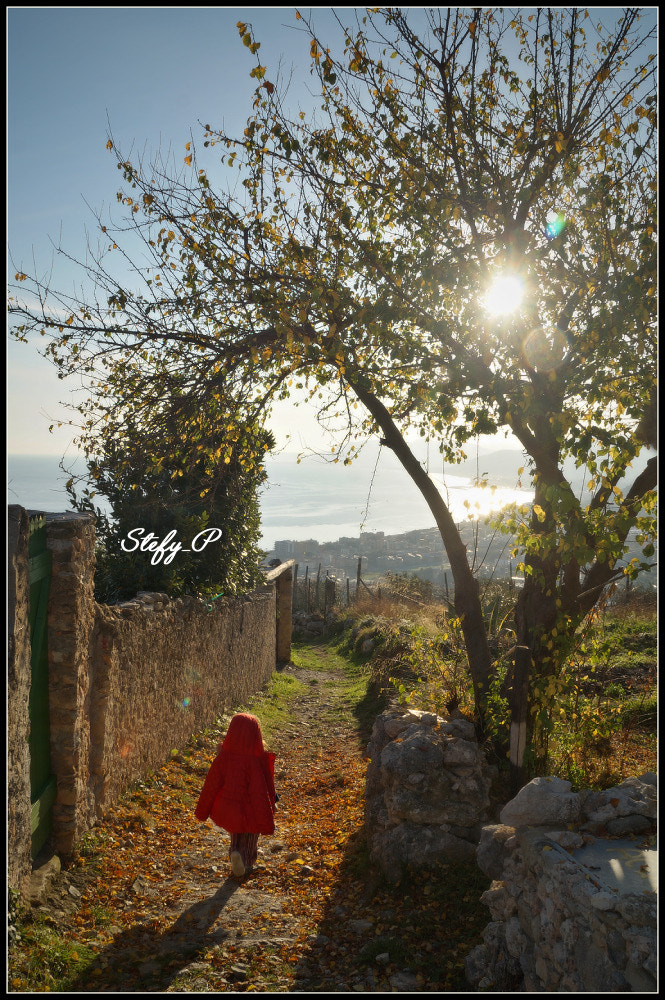 Sony DT 18-200mm F3.5-6.3 sample photo. Little red riding hood photography