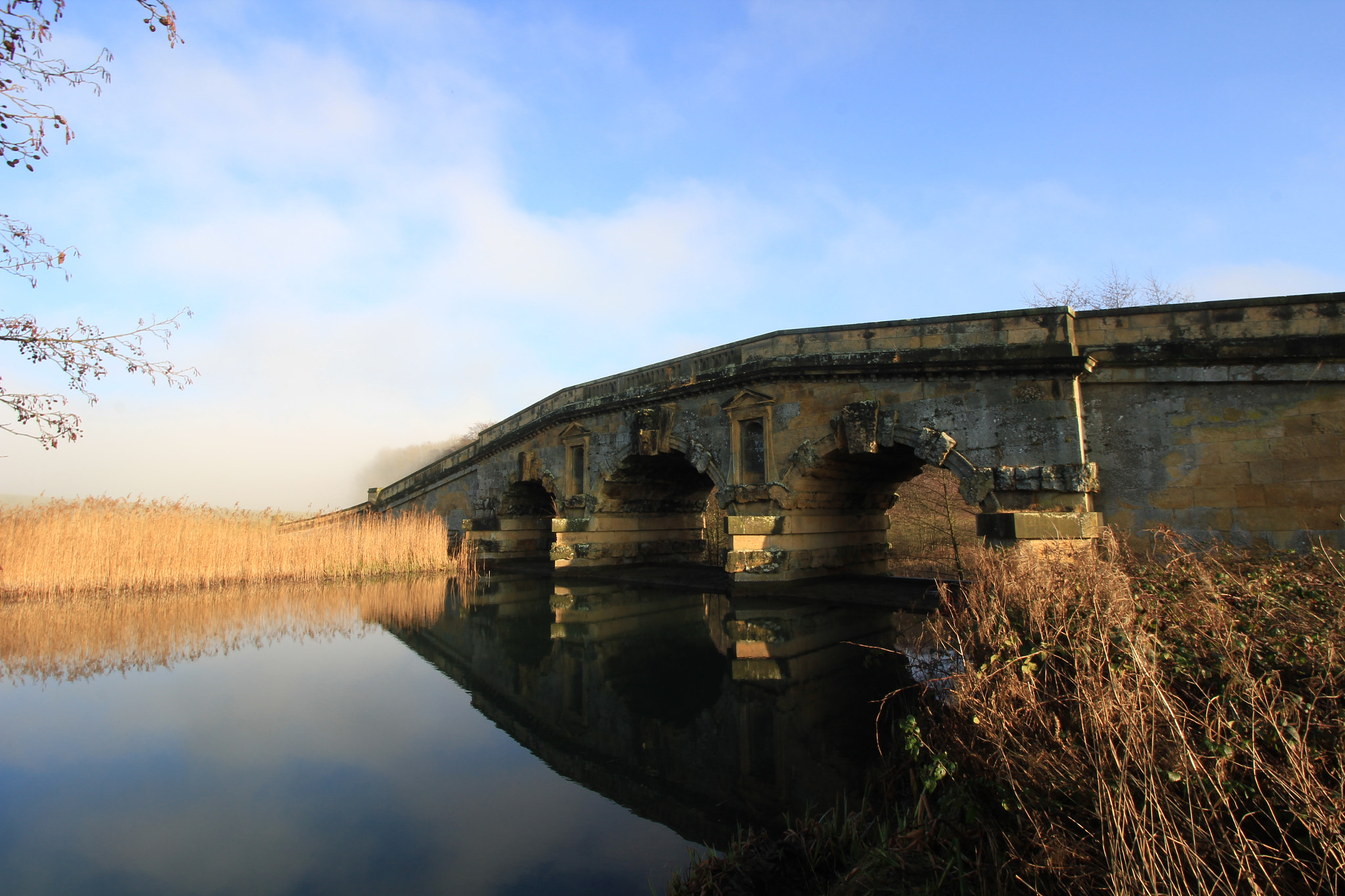 Canon EOS 550D (EOS Rebel T2i / EOS Kiss X4) sample photo. Bridge photography