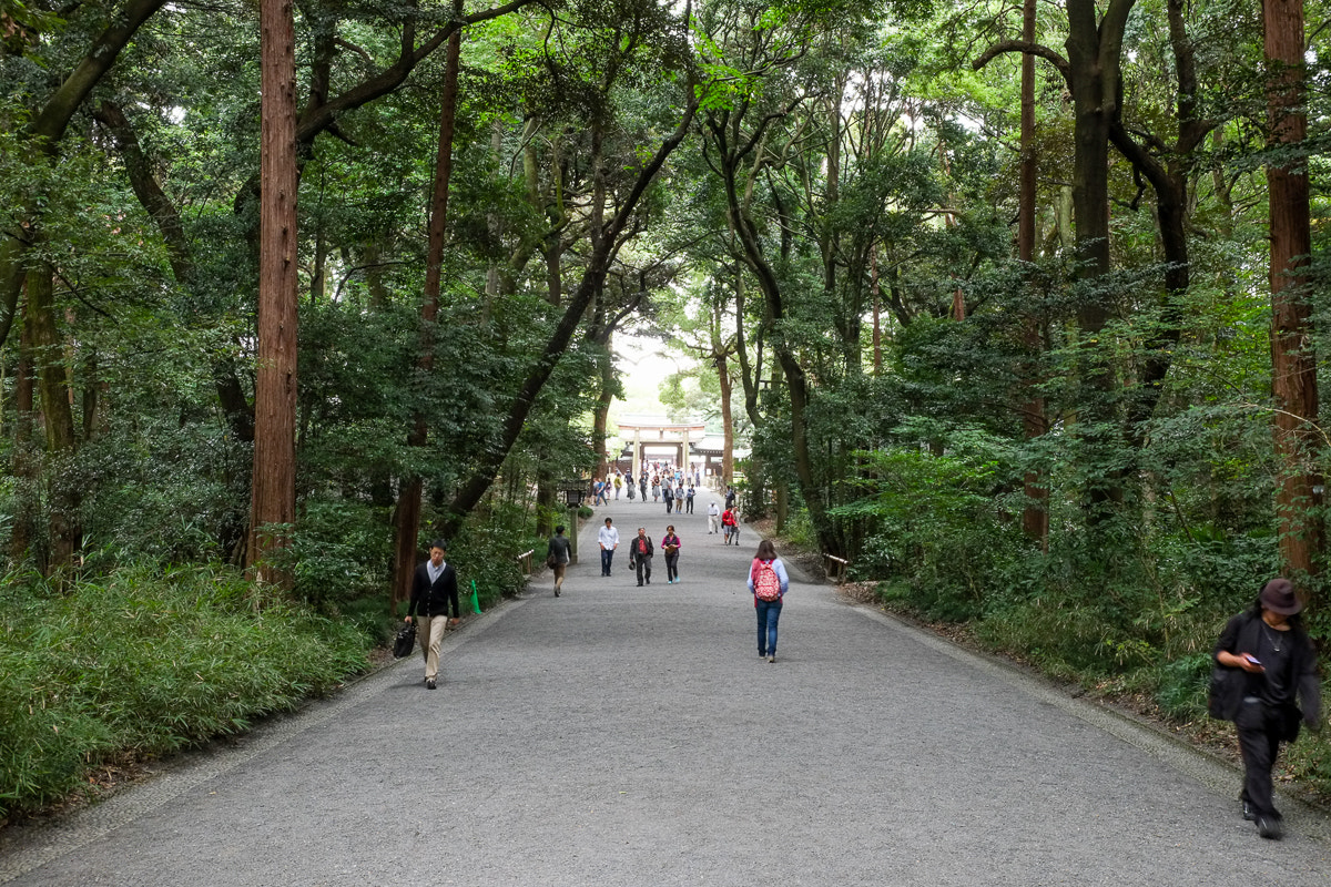 Fujifilm X-E1 + Fujifilm XF 18-55mm F2.8-4 R LM OIS sample photo
