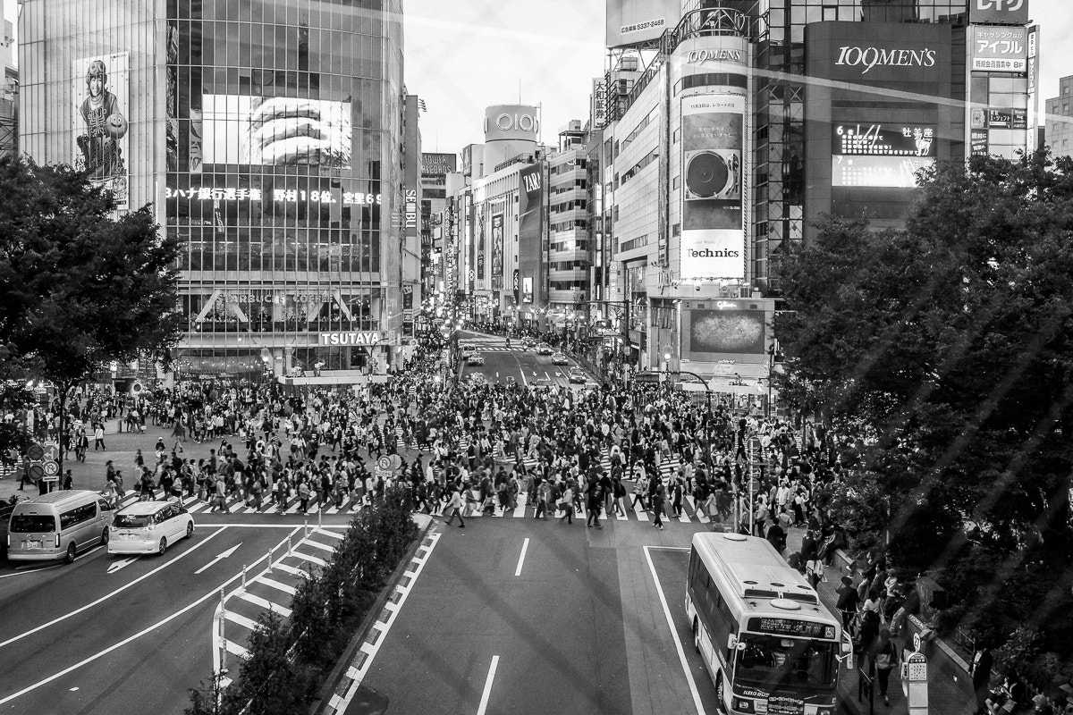 Fujifilm X-E1 + Fujifilm XF 18-55mm F2.8-4 R LM OIS sample photo