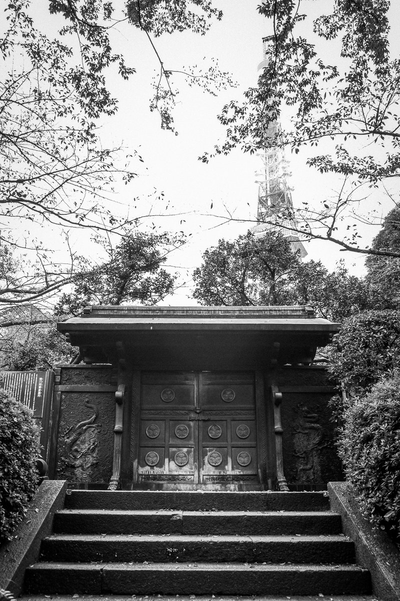 Fujifilm X-E1 + Fujifilm XF 18-55mm F2.8-4 R LM OIS sample photo