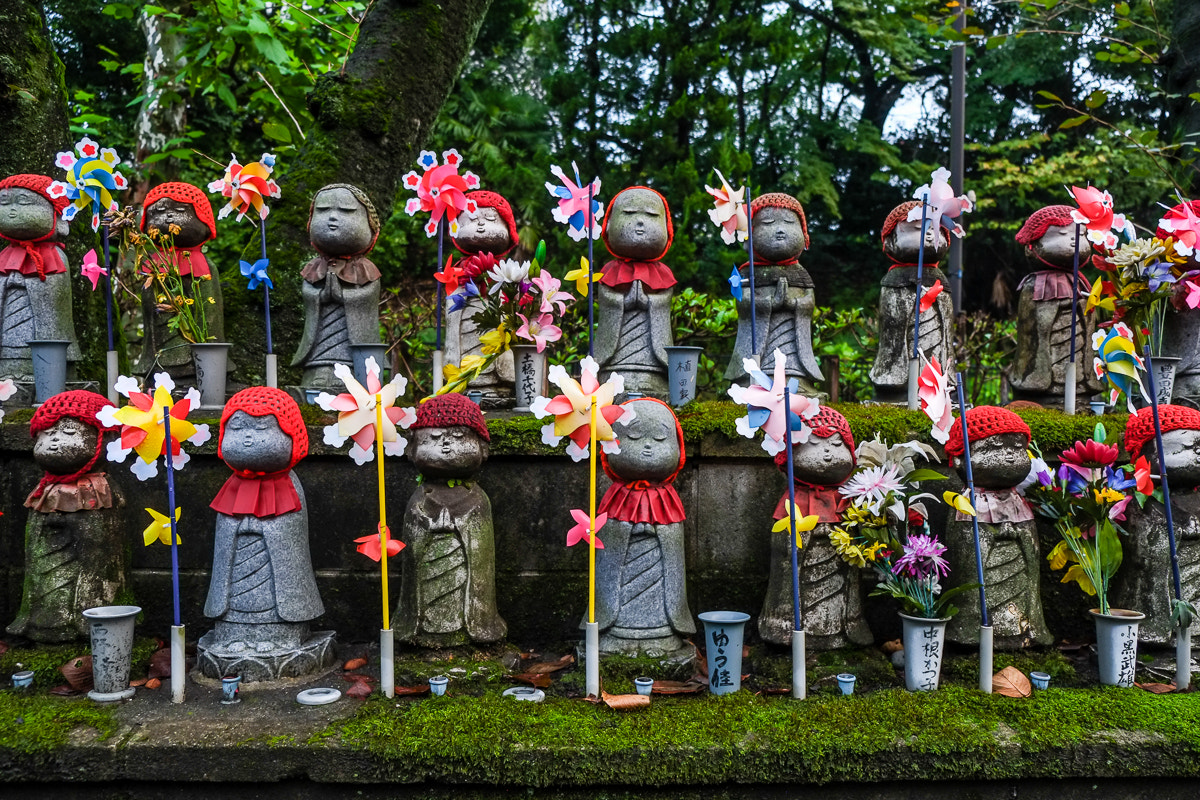 Fujifilm X-E1 + Fujifilm XF 18-55mm F2.8-4 R LM OIS sample photo