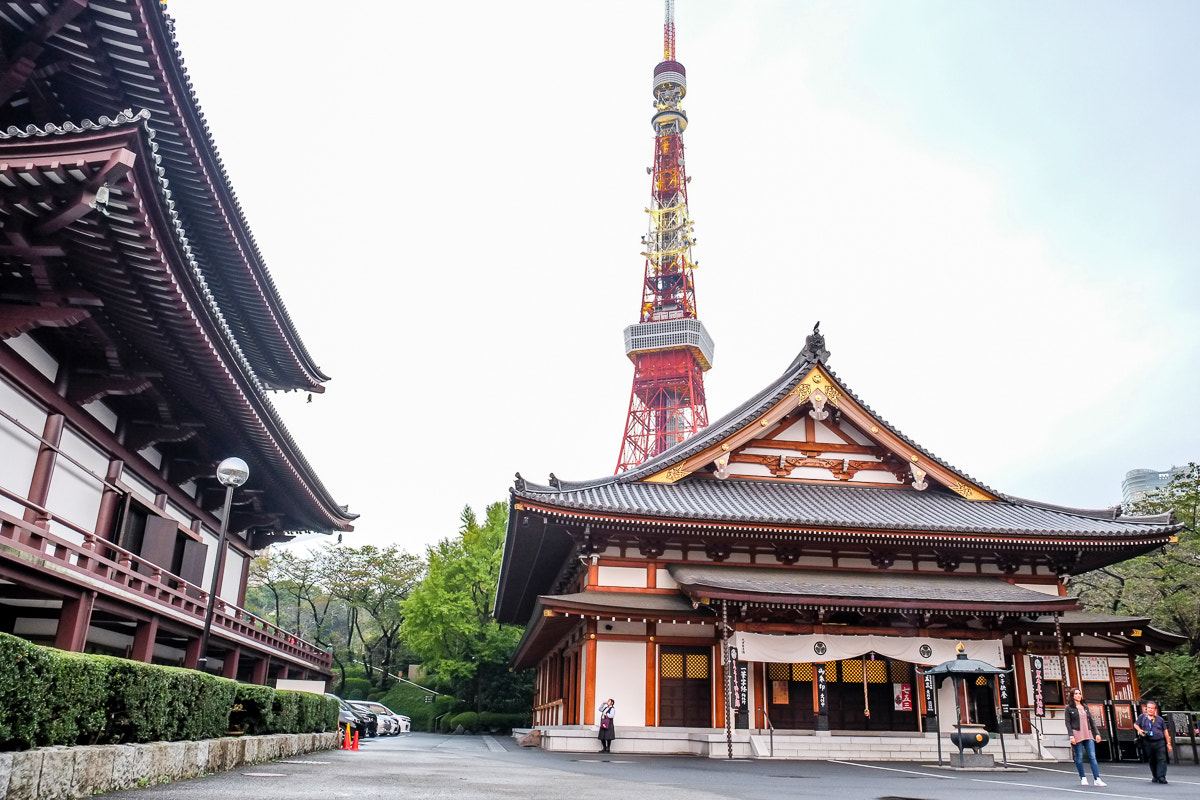 Fujifilm X-E1 + Fujifilm XF 18-55mm F2.8-4 R LM OIS sample photo