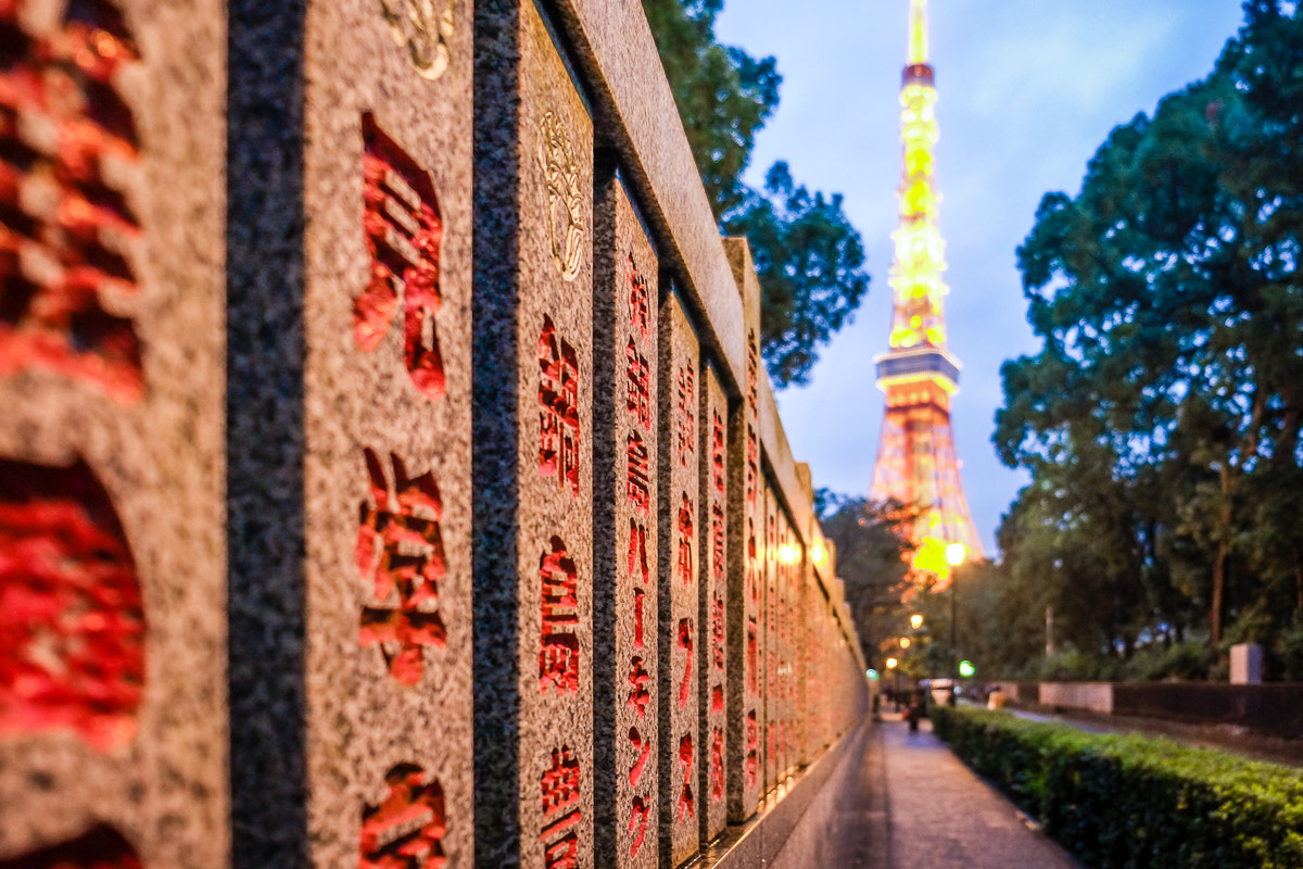 Fujifilm X-E1 + Fujifilm XF 18-55mm F2.8-4 R LM OIS sample photo