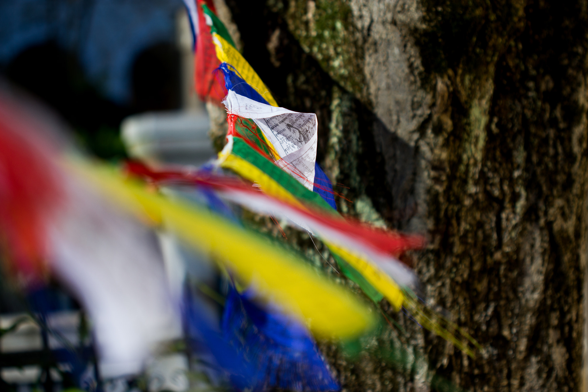 Canon EOS 550D (EOS Rebel T2i / EOS Kiss X4) + Canon EF 100mm F2.8 Macro USM sample photo. Buddhism flags photography