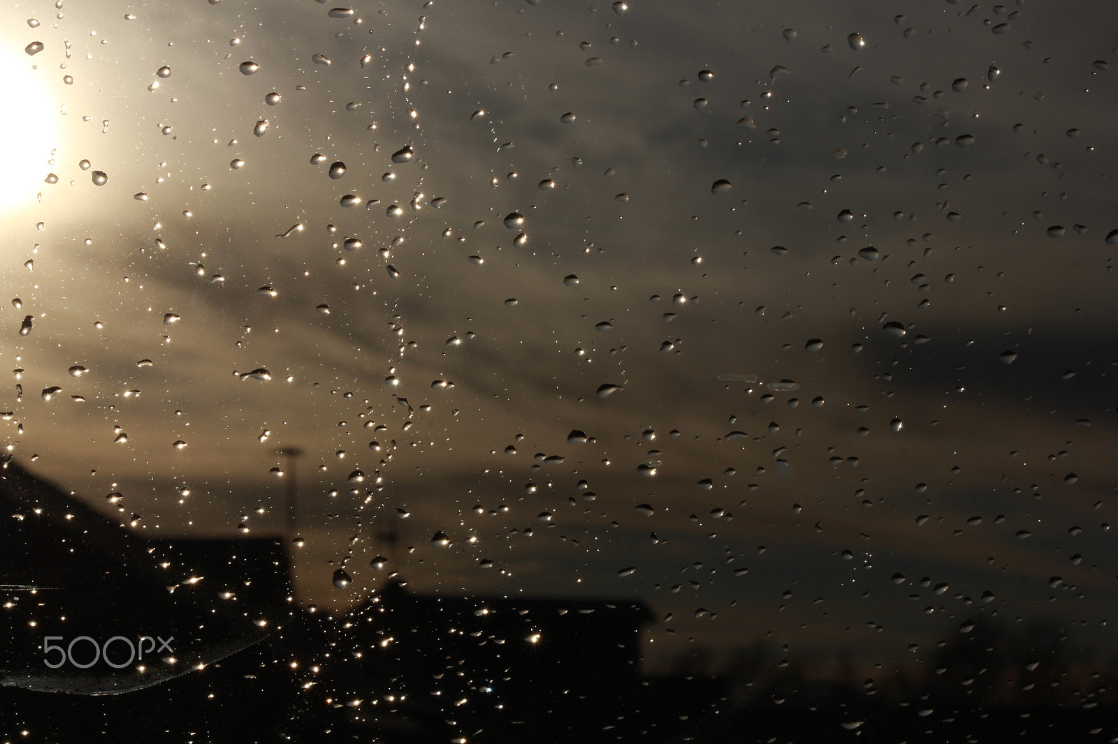 Canon EF-S 55-250mm F4-5.6 IS II sample photo. Rain photography