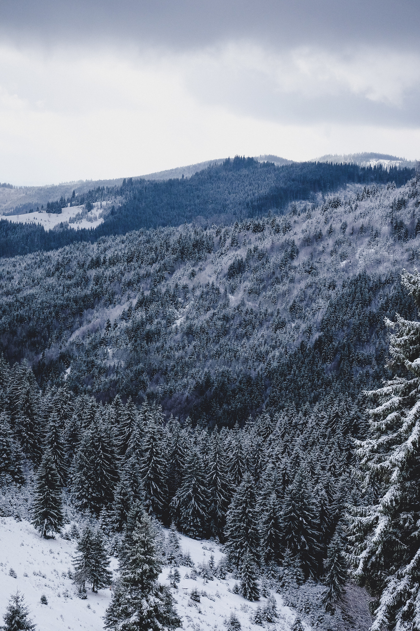 Fujifilm X-E2 + Fujifilm XC 50-230mm F4.5-6.7 OIS sample photo. Winter in romania photography