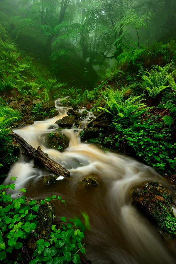 Nikon AF-S Nikkor 16-35mm F4G ED VR sample photo. Berdetan blai photography