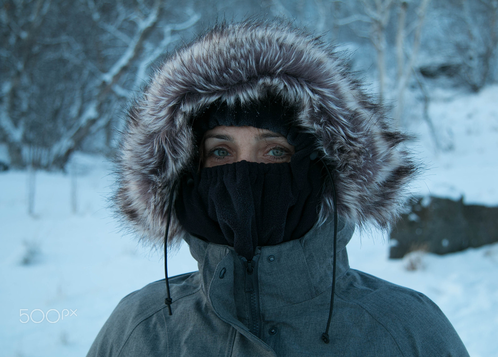 Canon EF-S 17-85mm F4-5.6 IS USM sample photo. Winter eyes photography