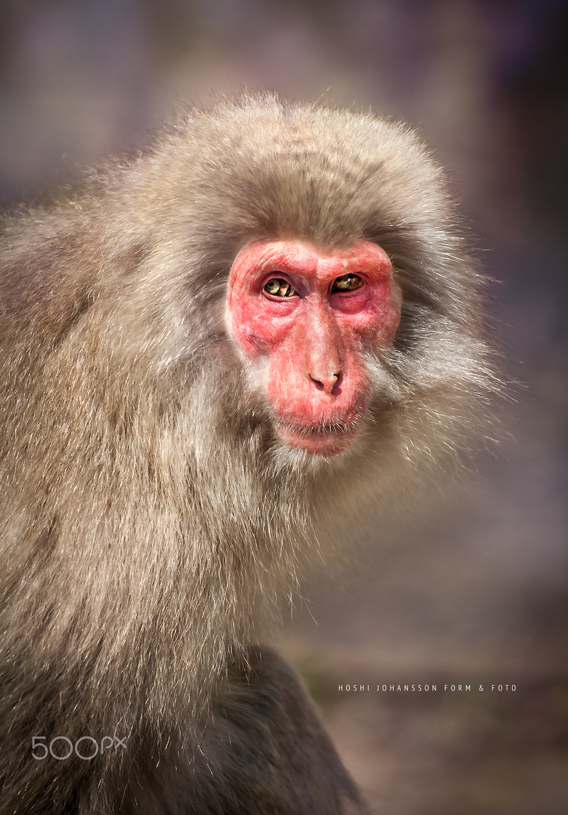 Nikon D200 sample photo. Freak like me photography