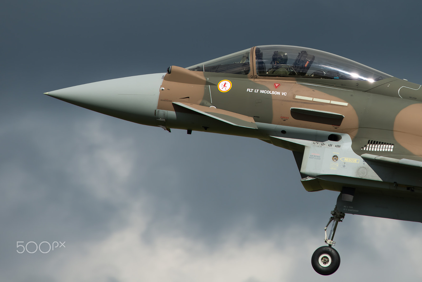 Nikon D800 sample photo. Camo typhoon photography