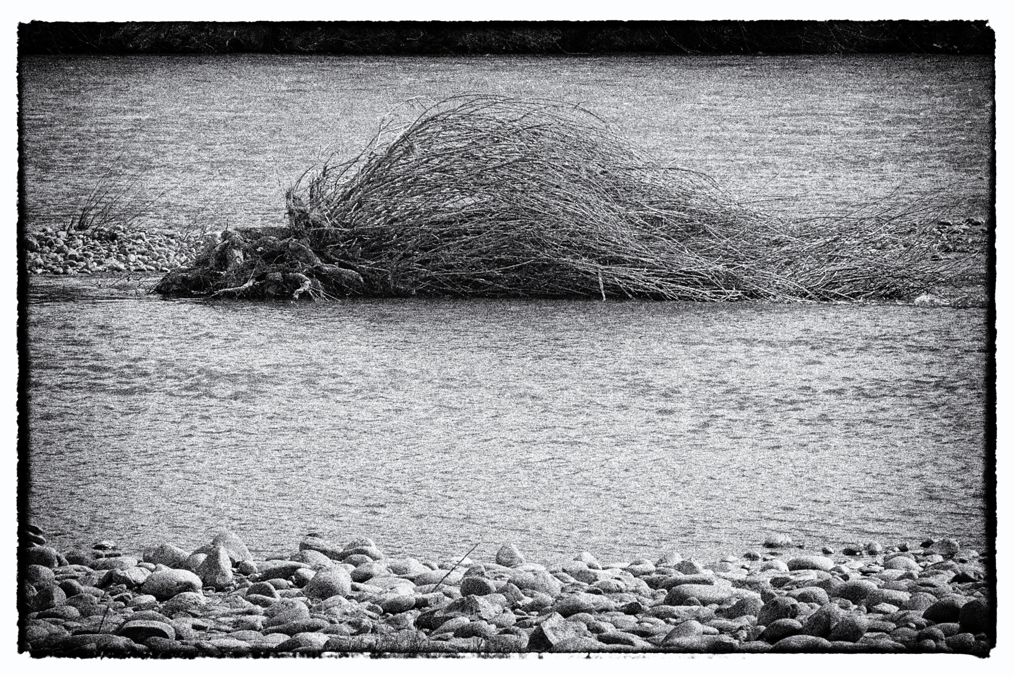 Fujifilm X-T1 sample photo. River tree photography