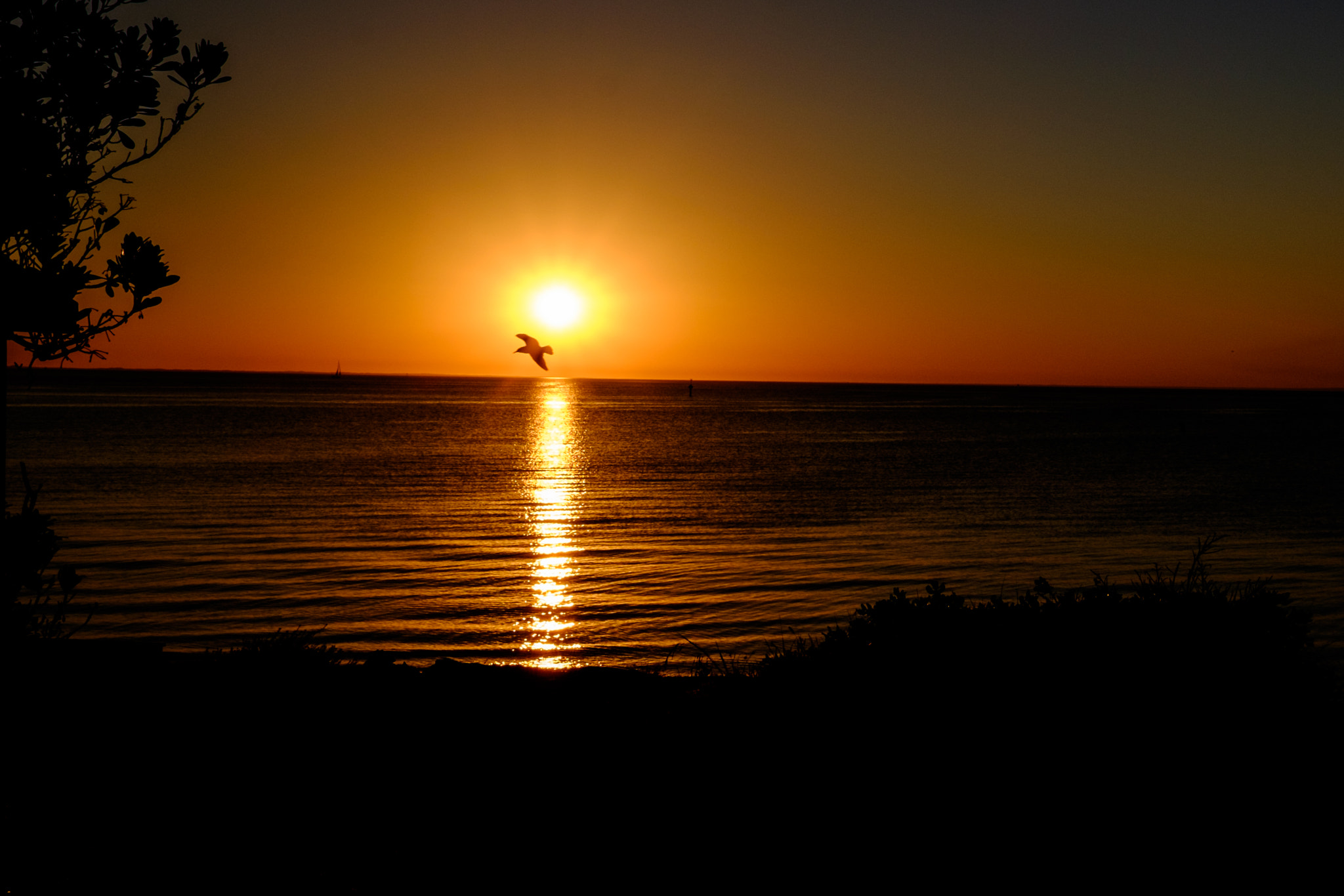 Fujifilm XF 23mm F1.4 R sample photo. Just when you are losing hope photography
