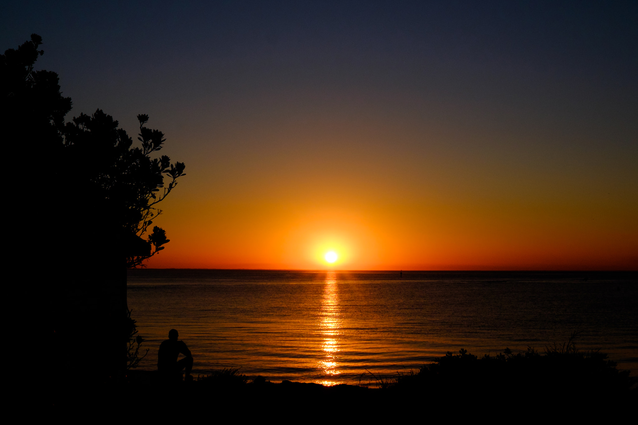 Fujifilm XF 23mm F1.4 R sample photo. Wait is over photography