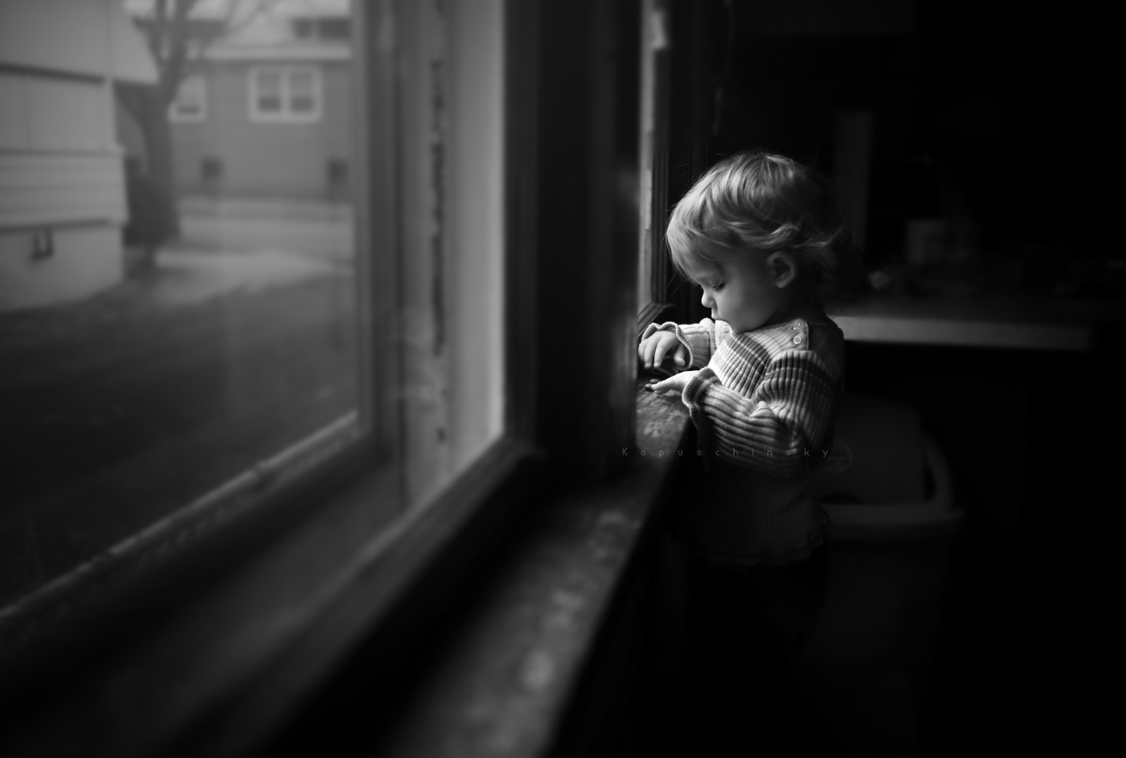 Sony Alpha DSLR-A900 + Minolta AF 35mm F2 [New] sample photo. Snacks on the sill photography