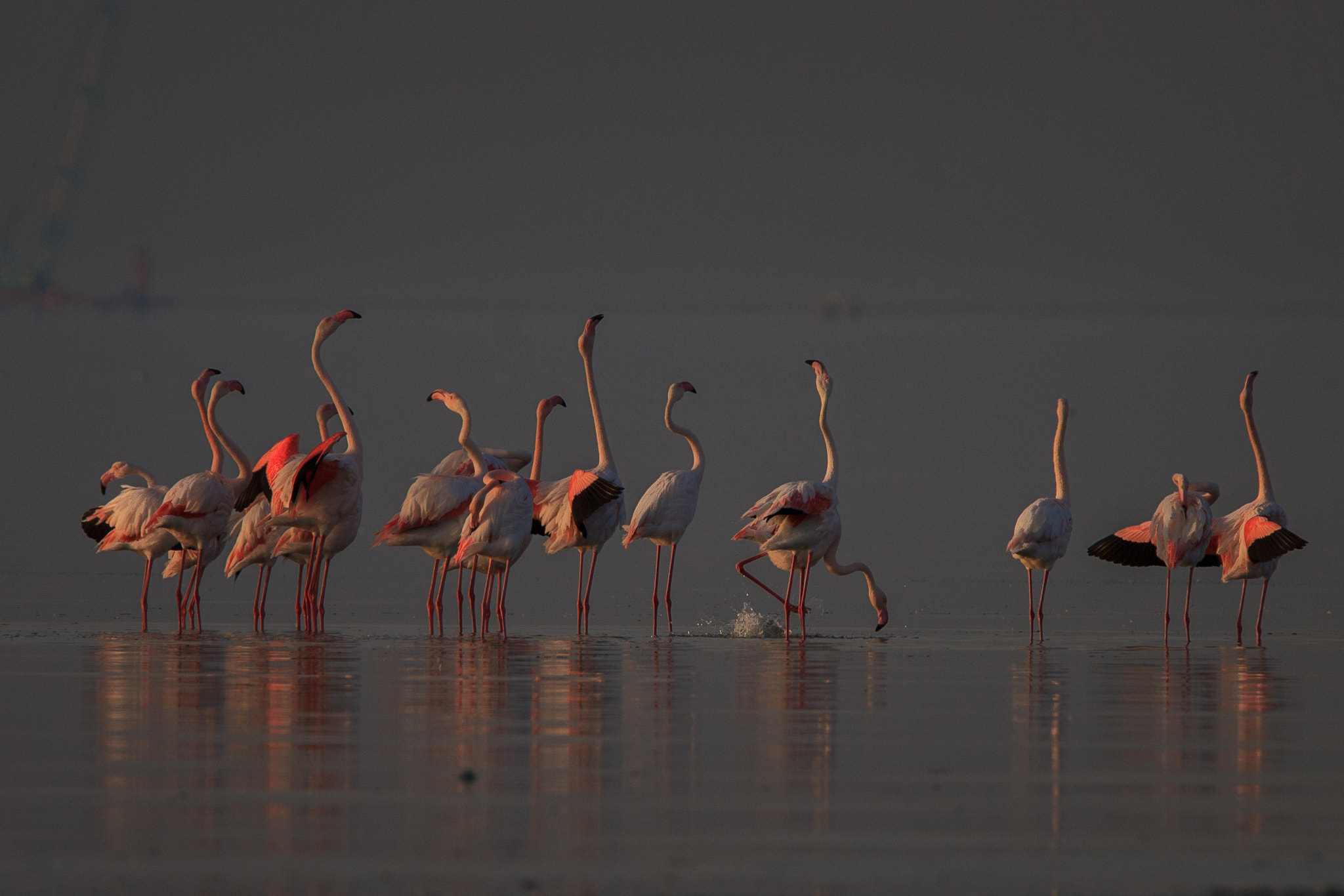 Tamron SP 150-600mm F5-6.3 Di VC USD sample photo. Bunch of light photography
