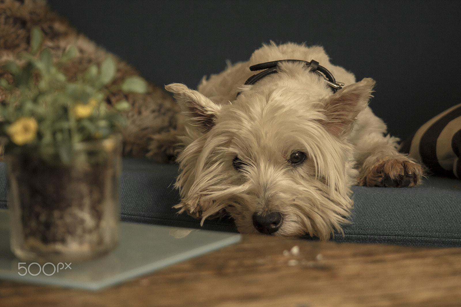 Canon EOS 60D + EF75-300mm f/4-5.6 sample photo. I want something... photography