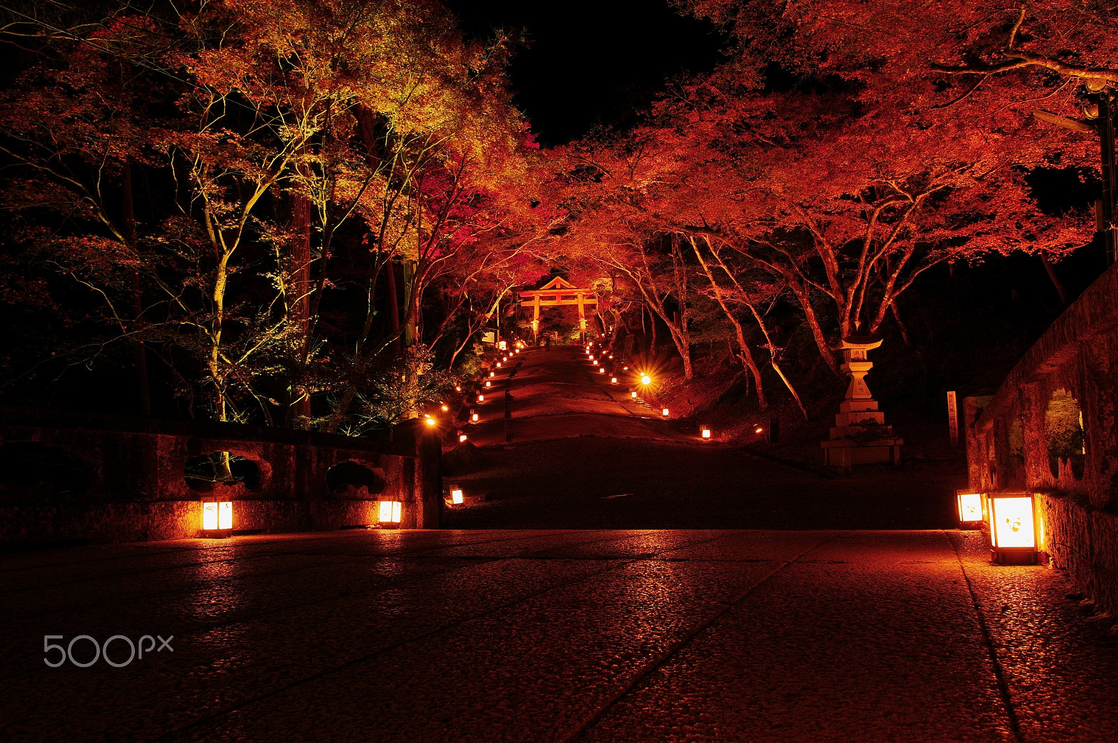 Pentax K-3 sample photo. To the shrine at night photography