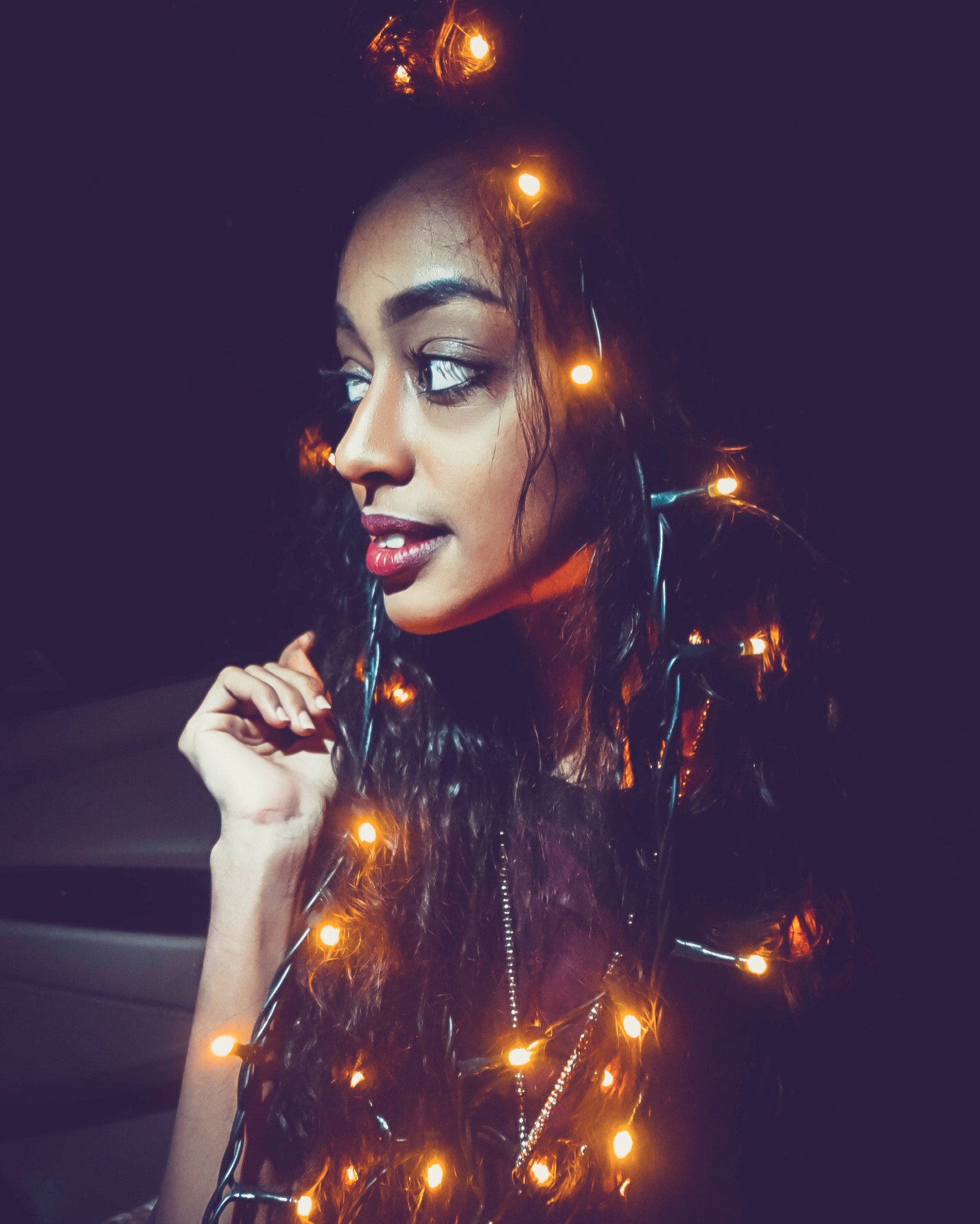Nikon D810 sample photo. Queen of lights photography