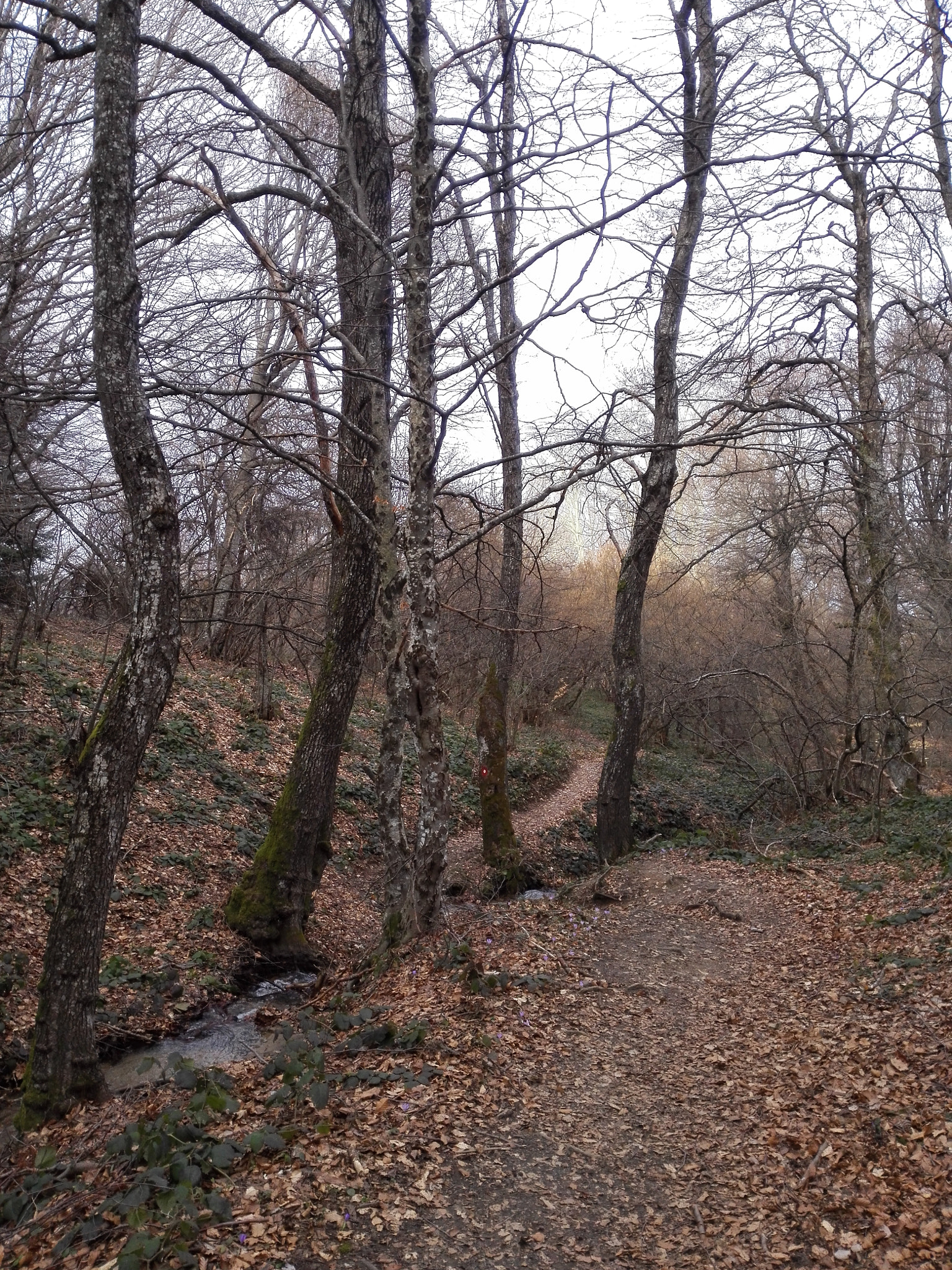 HUAWEI P7-L10 sample photo. Mountain photography